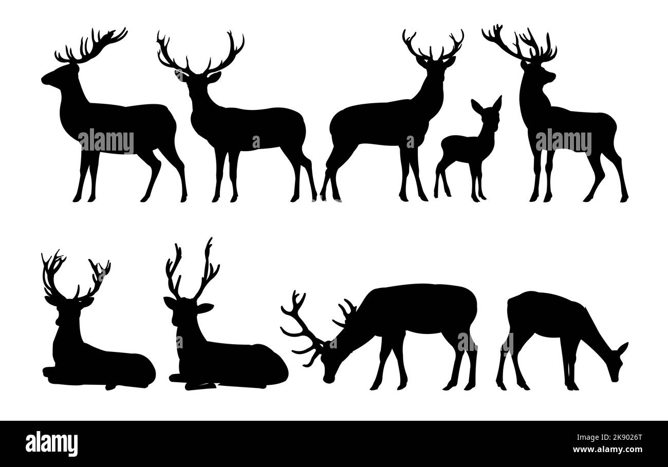 Deer Silhouette Set. Erwachsene kleiden Männer und Kittel mit Jungen. Wilde Tiere. Isoliert auf weißem Hintergrund. Vektor Stock Vektor