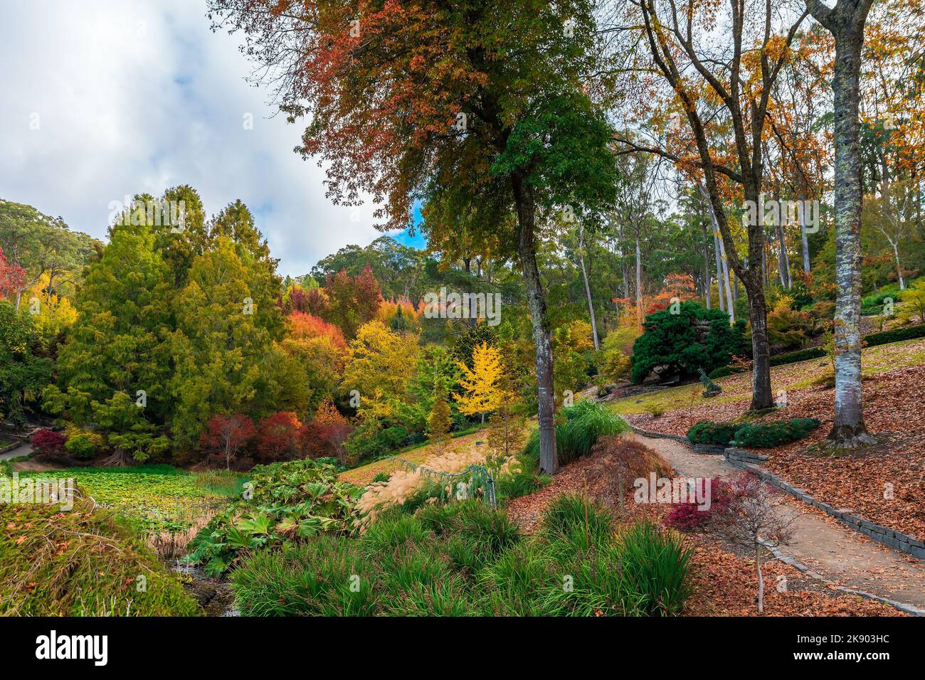 Steigen Sie an einem Tag während der Herbstsaison in einen erhabenen öffentlichen Park ein Stockfoto