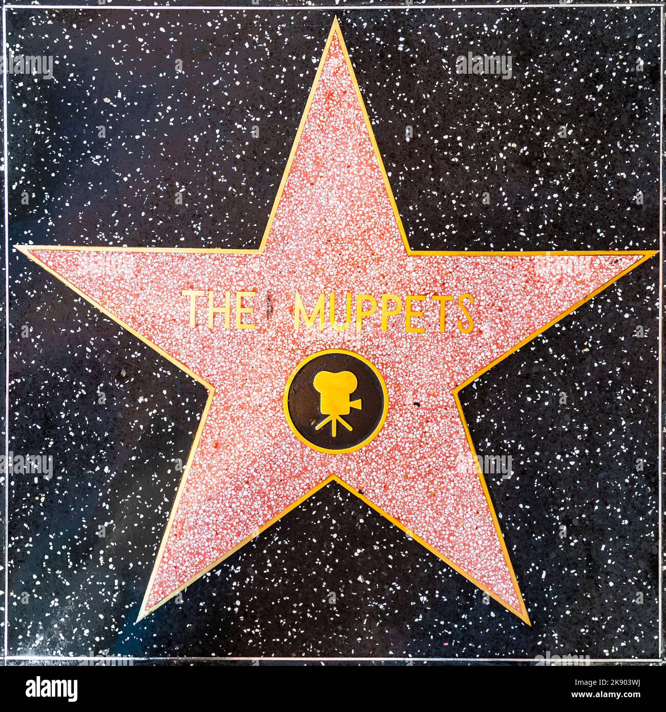 Los Angeles, USA - 24. Juni 2012: Der Muppets-Star auf dem Hollywood Walk of Fame in Hollywood, Kalifornien. Dieses Hotel liegt am Hollywood Blvd. Und ist es auch Stockfoto