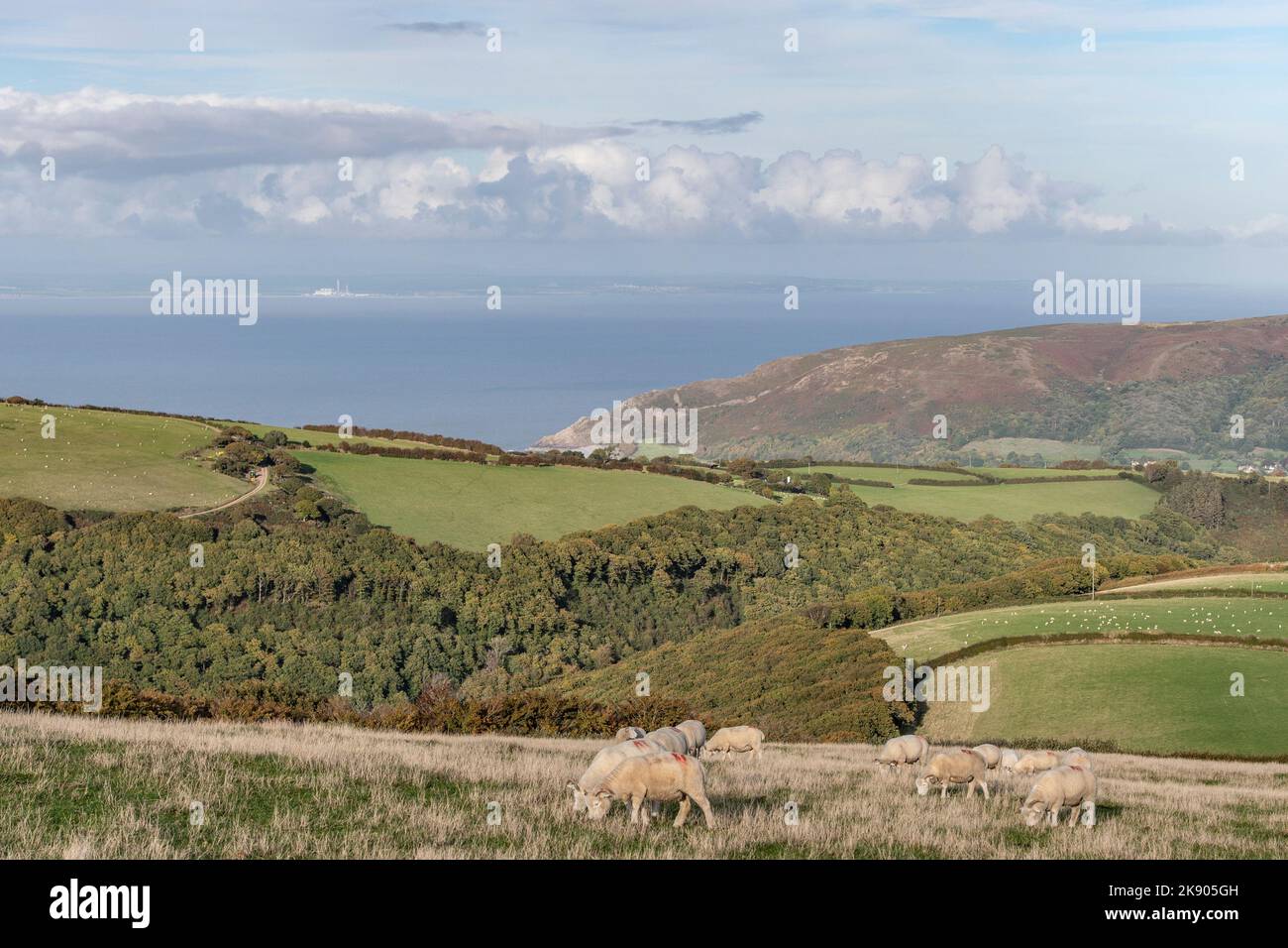 Blick über Ackerland und das Meer in Porlock, Exmoor, Großbritannien Stockfoto