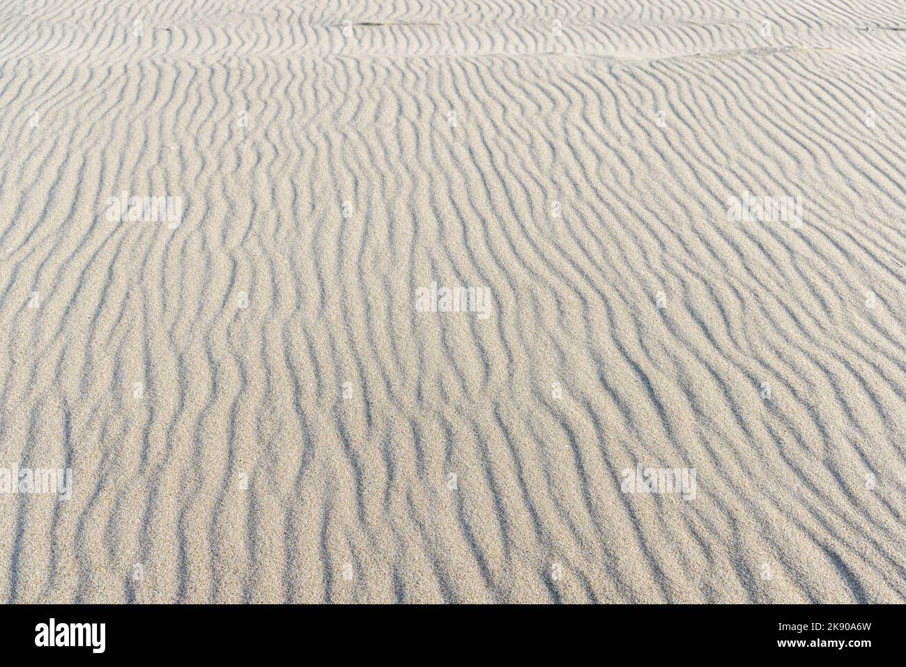 Detail des windgepeitschten Sandes an einem Meeresstrand Stockfoto