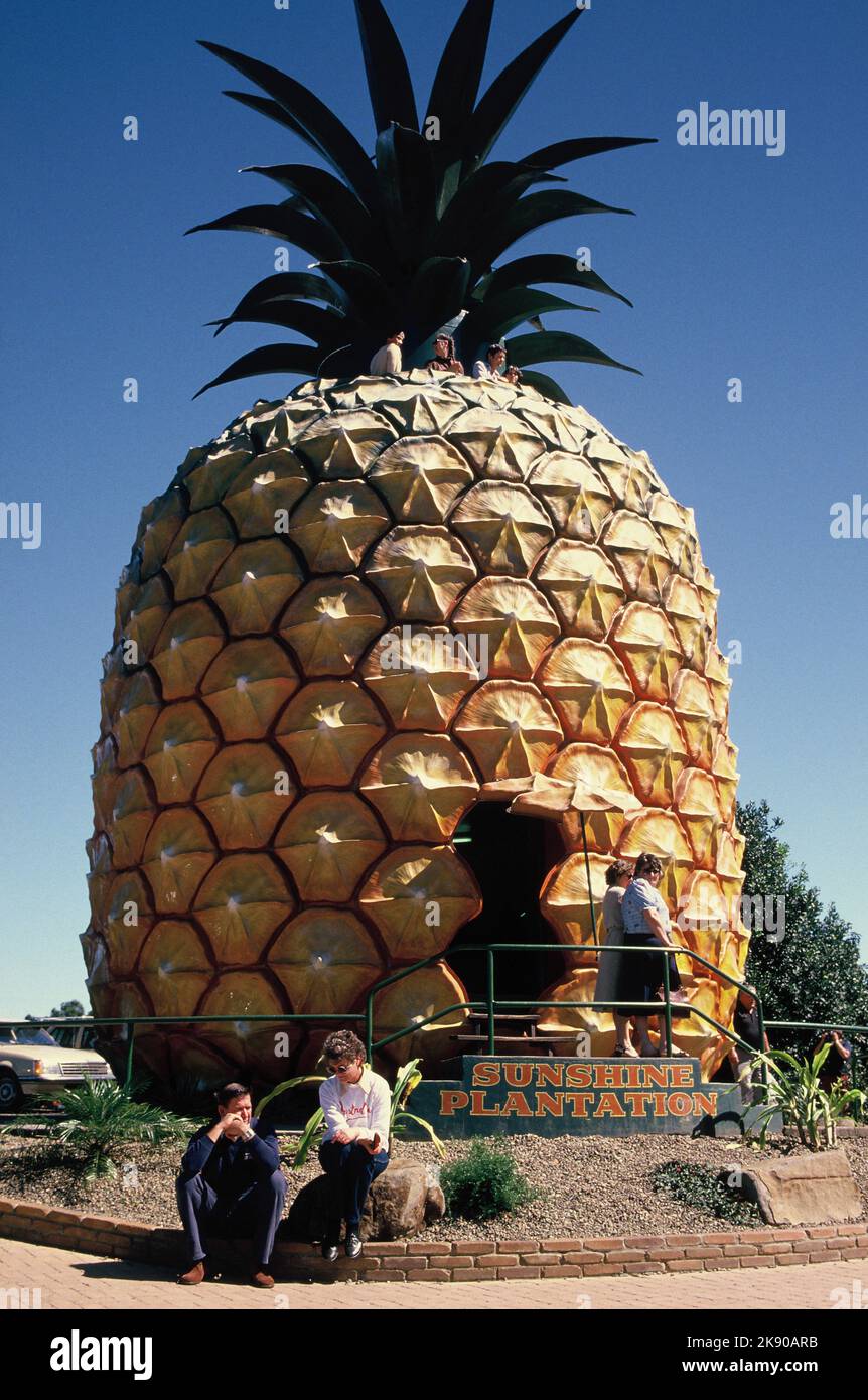 Australien. Queensland. Sunshine Coast. Touristen am Big Pineapple. Stockfoto