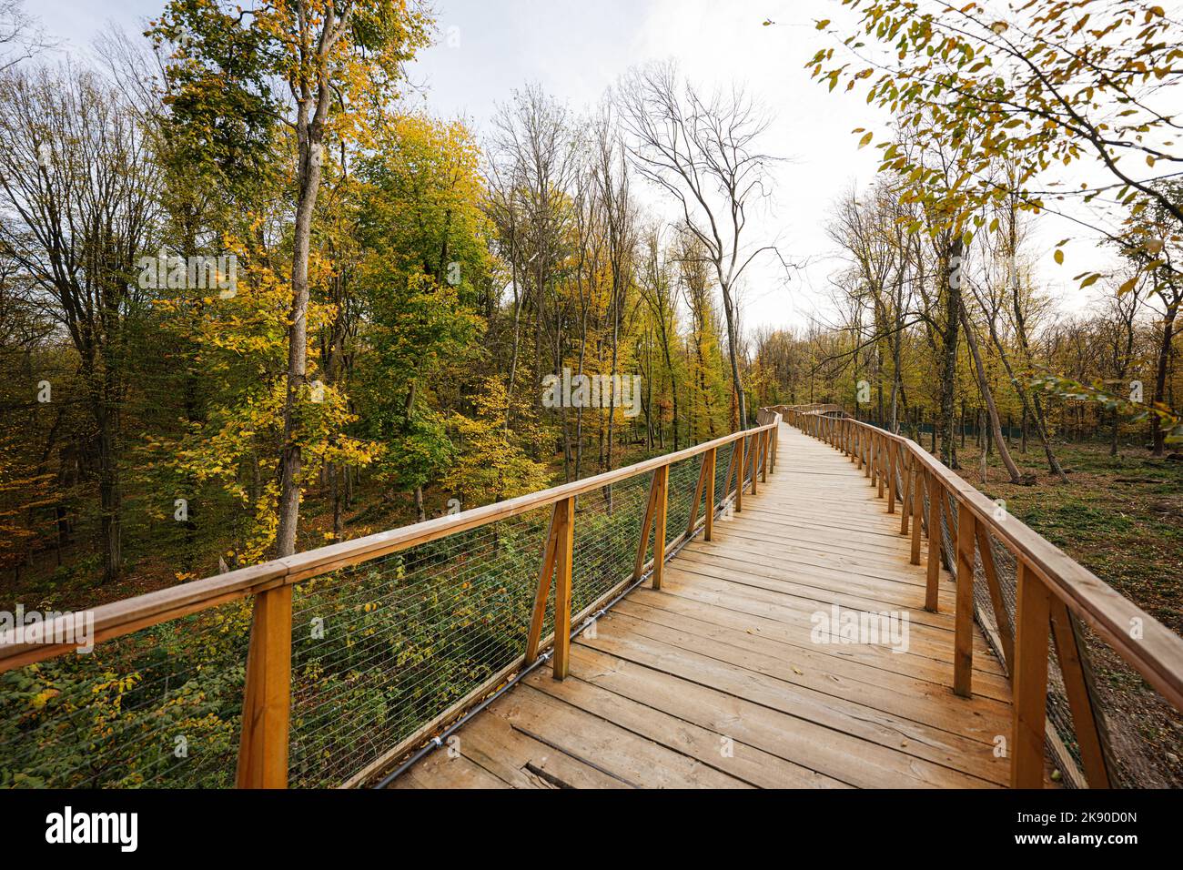 Woden lange Brücke im Herbstwald. Stockfoto
