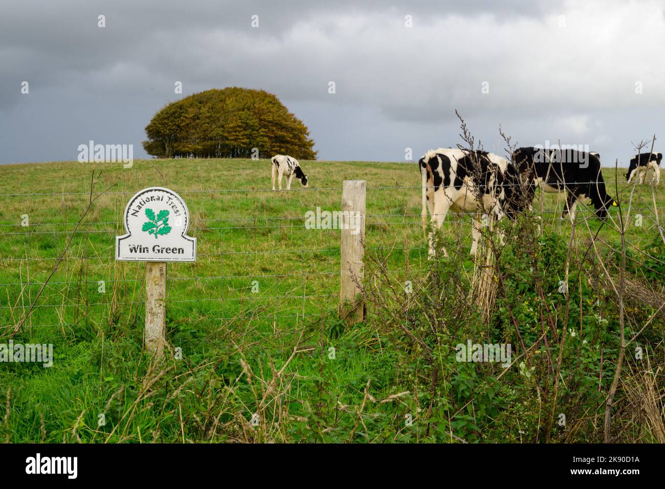 Gewinnen Sie Green Down, verwaltet vom National Trust (kostenlose Teilnahme), den höchsten Punkt auf Cranborne Chase, Wiltshire, England, Großbritannien Stockfoto
