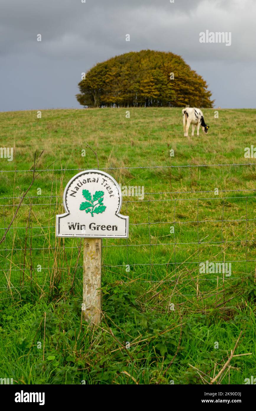 Gewinnen Sie Green Down, verwaltet vom National Trust (kostenlose Teilnahme), den höchsten Punkt auf Cranborne Chase, Wiltshire, England, Großbritannien Stockfoto