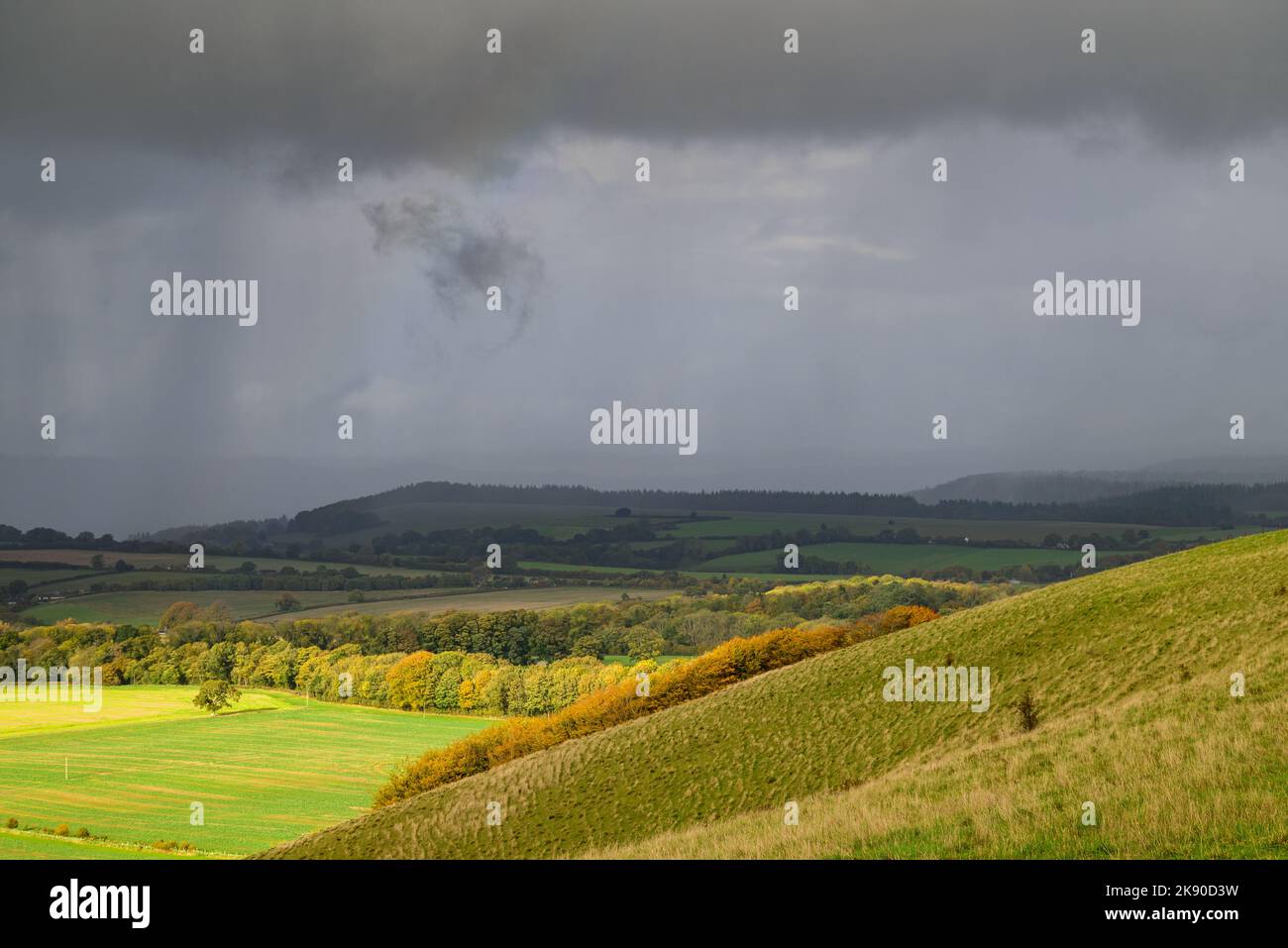 Stürmisches Wetter und Regen mit Blick auf die Landschaft von South Wiltshire Dorset von Cranborne Chase, England, Großbritannien, Oktober Stockfoto