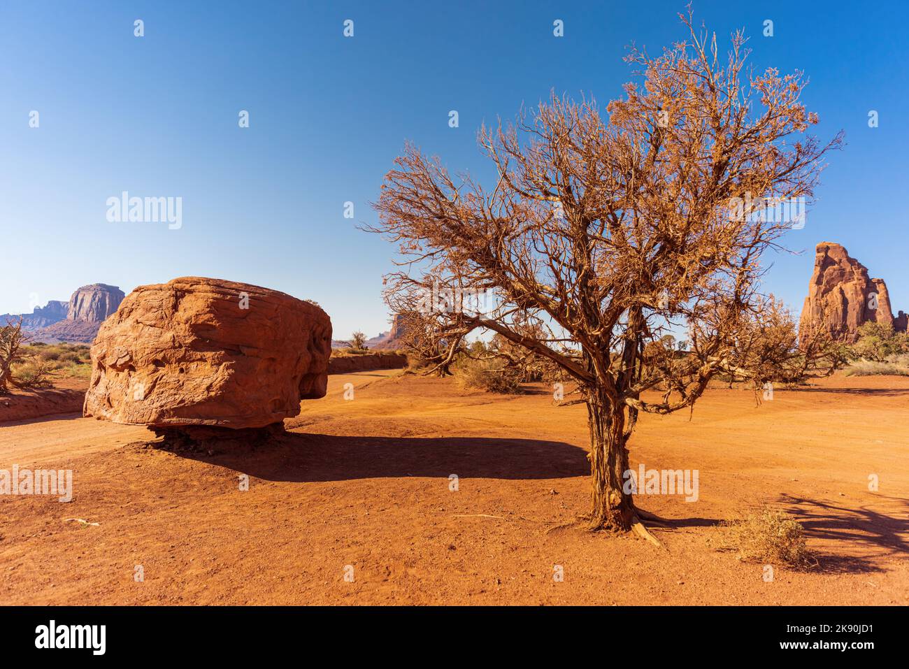 Baum und Felsen im Monument Valley Tribal Park Stockfoto