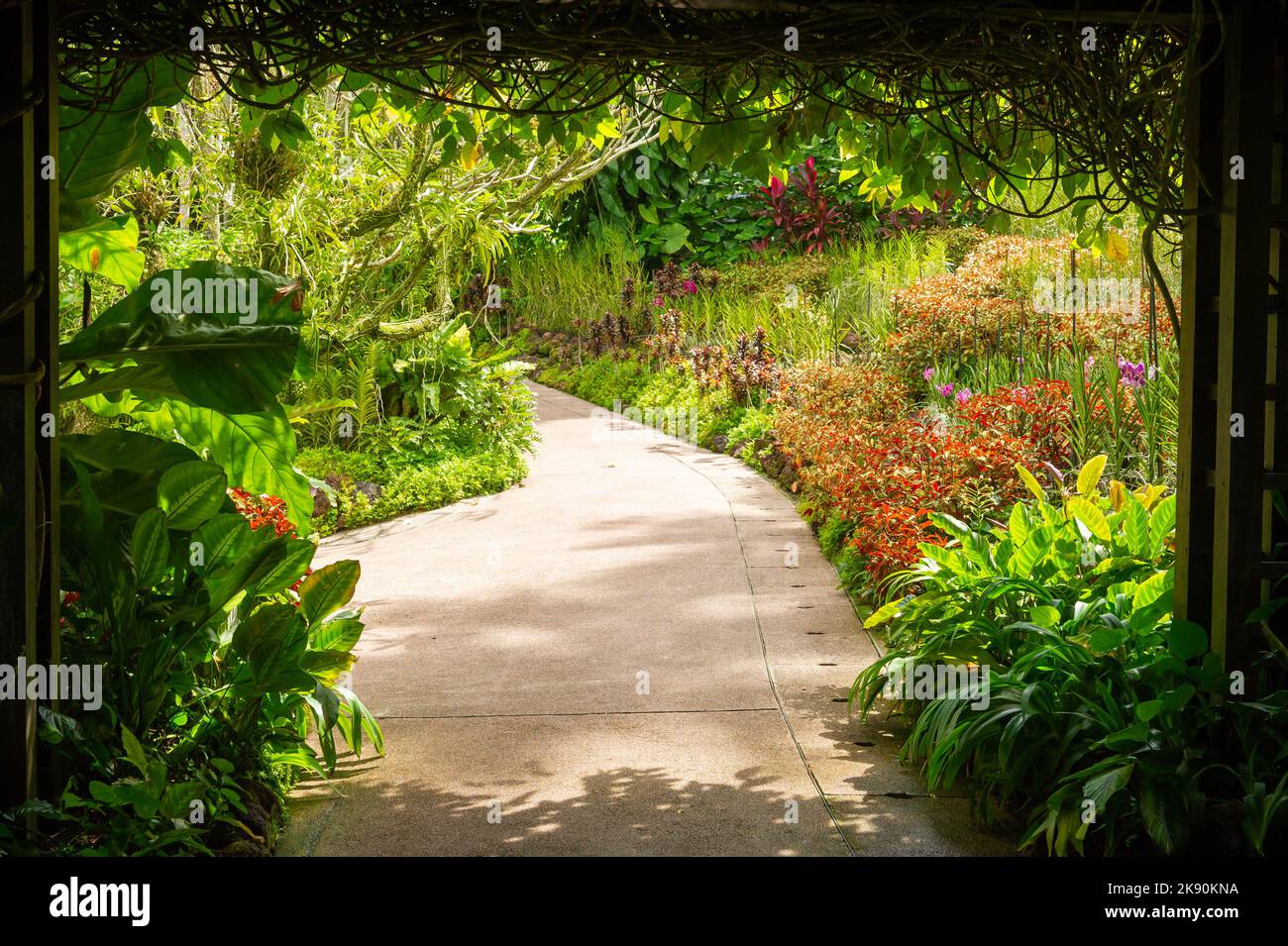Der Singapore National Orchid Garden Stockfoto