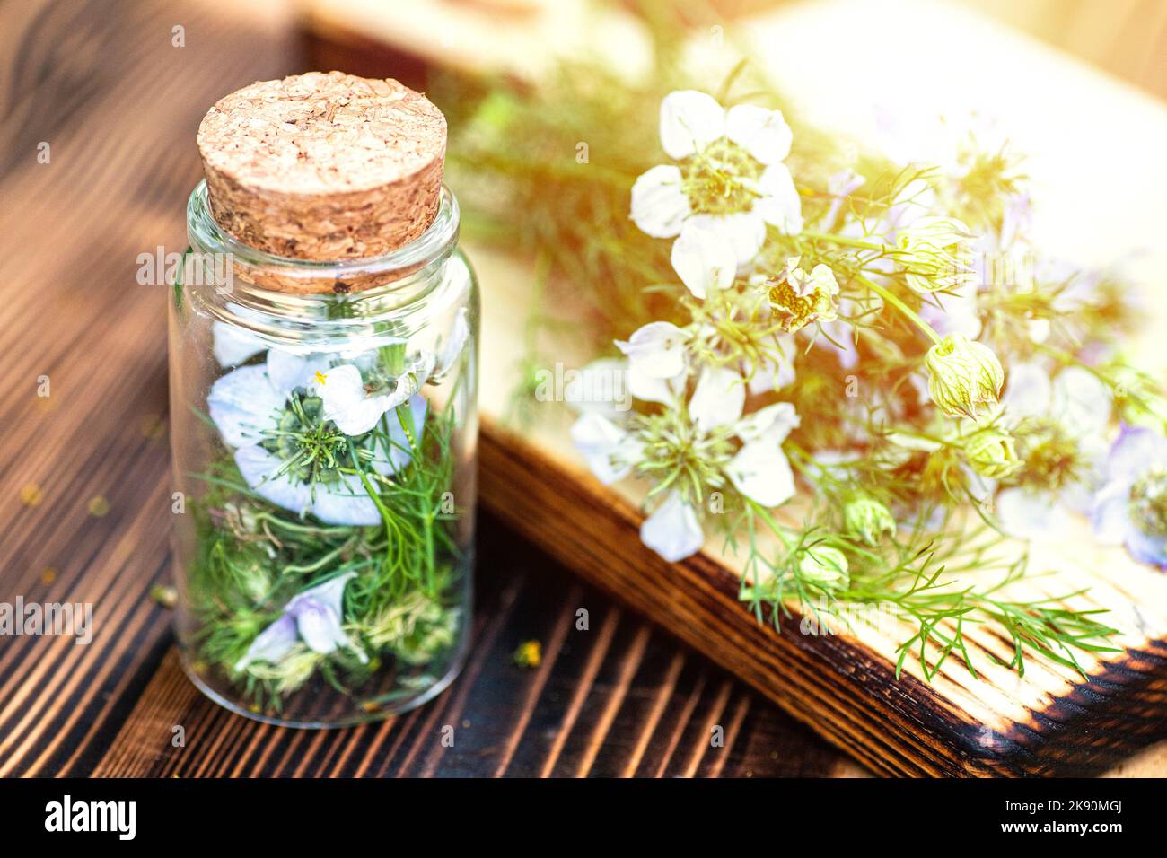 Nigella arvensis, Teufel im Busch, Liebe im Nebel in Holzmörtel, neben getrockneten Blumen in einem Medizingefäß mit Kork, aus dem schwarzes Kreuzkümmelöl hergestellt wird Stockfoto