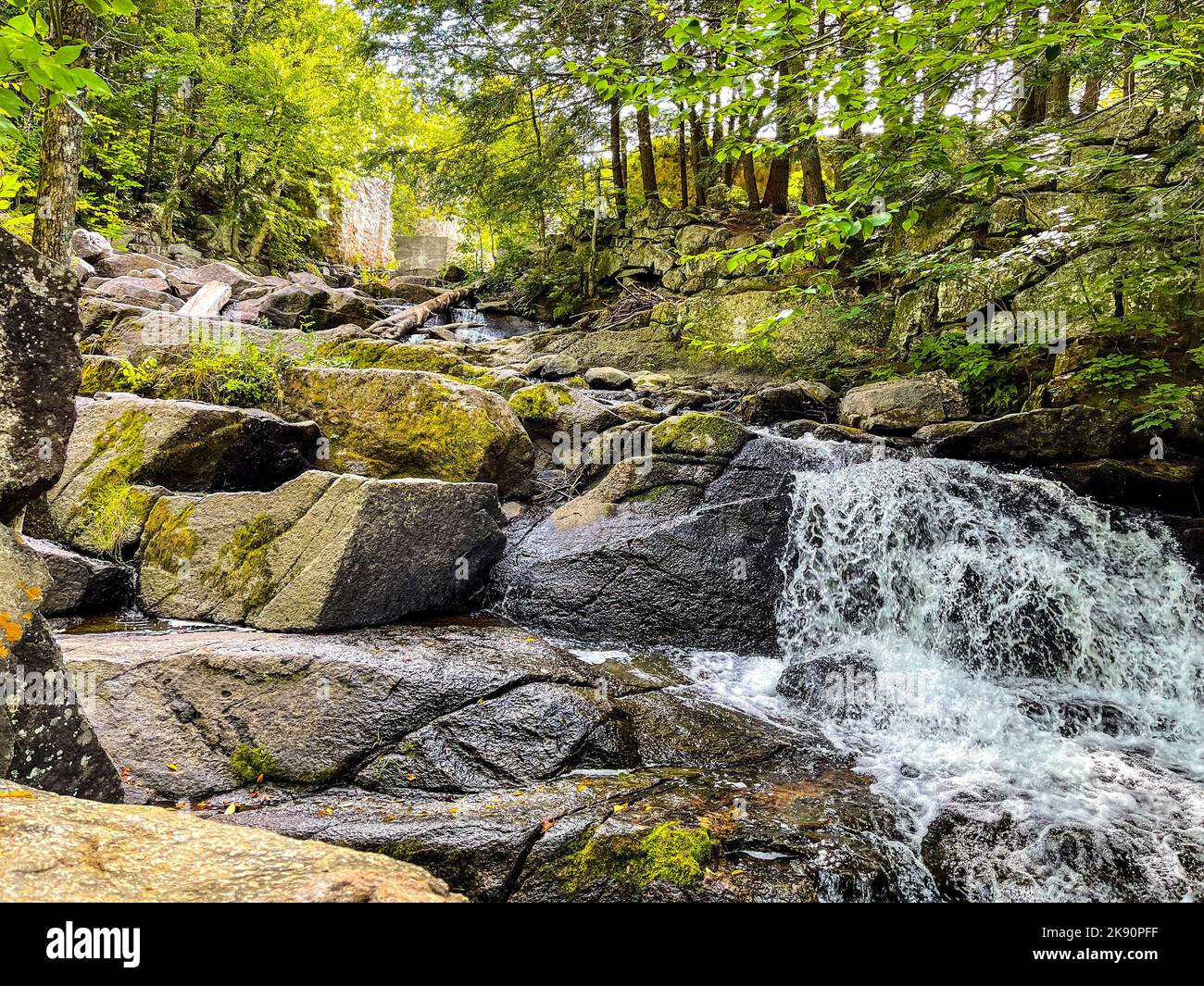 Eine malerische Aussicht auf die Meech Lake Falls in einem üppigen grünen Wald, Gatineau Park, Chelsea, Quebec, Kanada Stockfoto