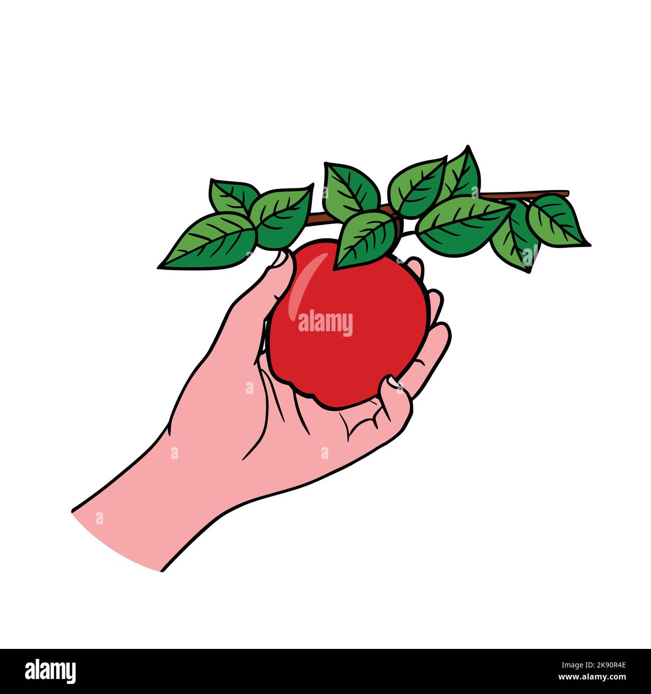 Hand- und Apfelbaum-Zweig. Äpfel pflücken. Ernte. Zweig mit reifen Apfel isoliert auf weißem Hintergrund. Vektorgrafik flach. Stock Vektor