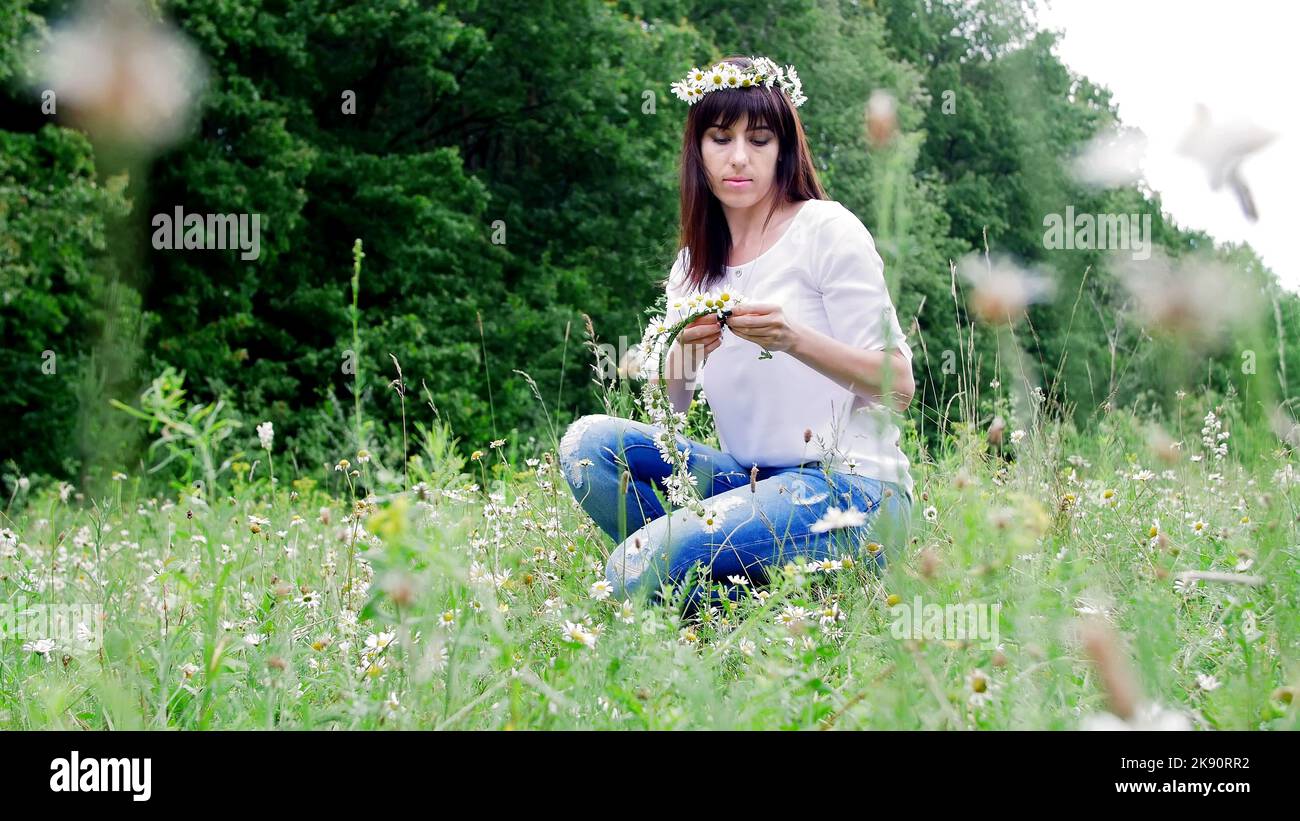 Sommer, inmitten eines Kamillenrasen, in einem Wald, webt eine junge Frau, eine Brünette, einen Kranz aus Kamillen. Hochwertige Fotos Stockfoto