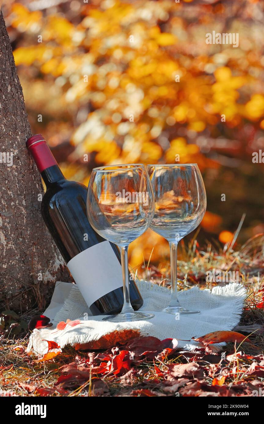 Flasche trockener Rotwein und Gläser. Sonnenlicht im Wald. Stockfoto