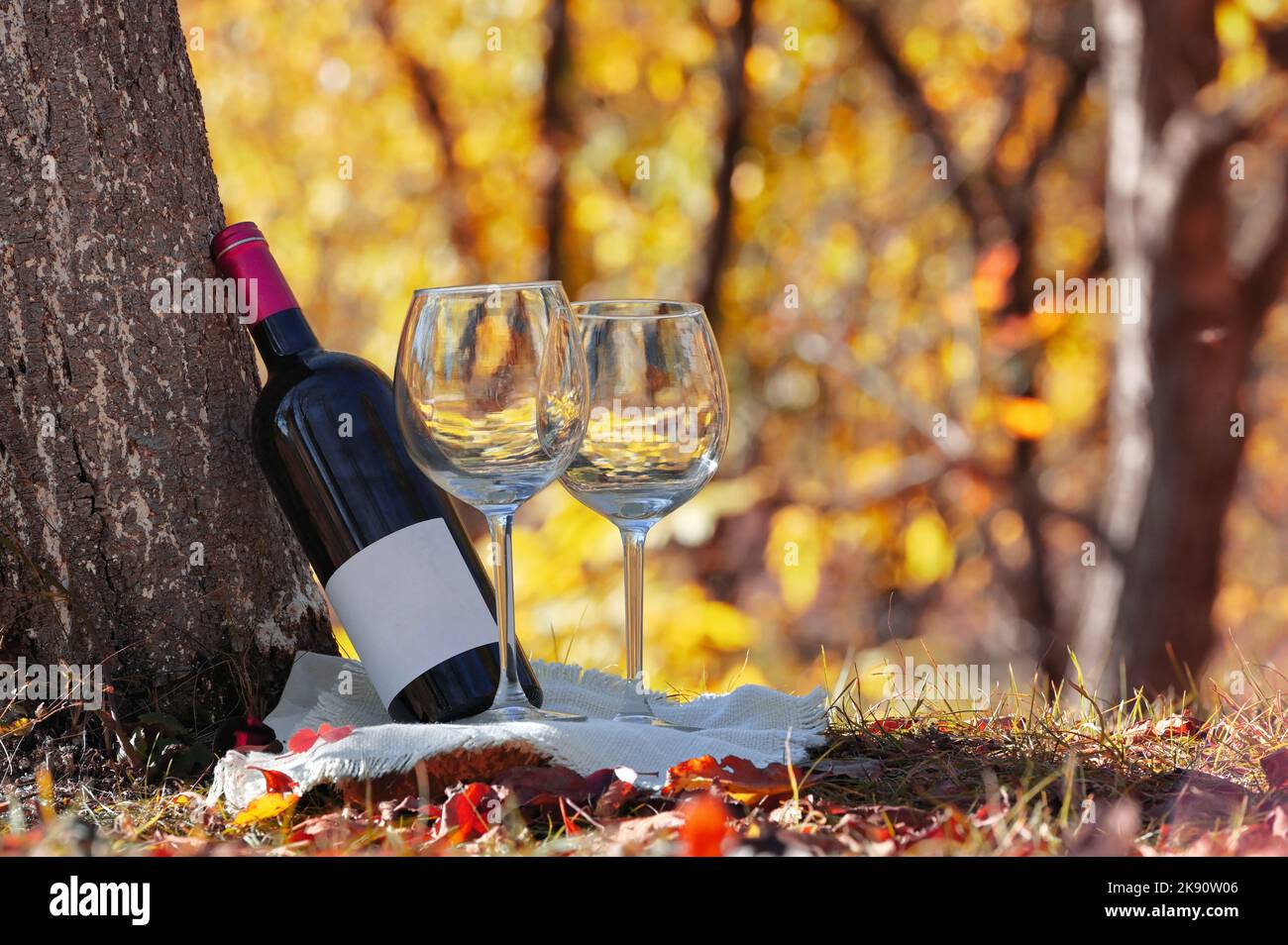 Flasche trockener Rotwein und Gläser. Sonnenlicht im Wald. Stockfoto