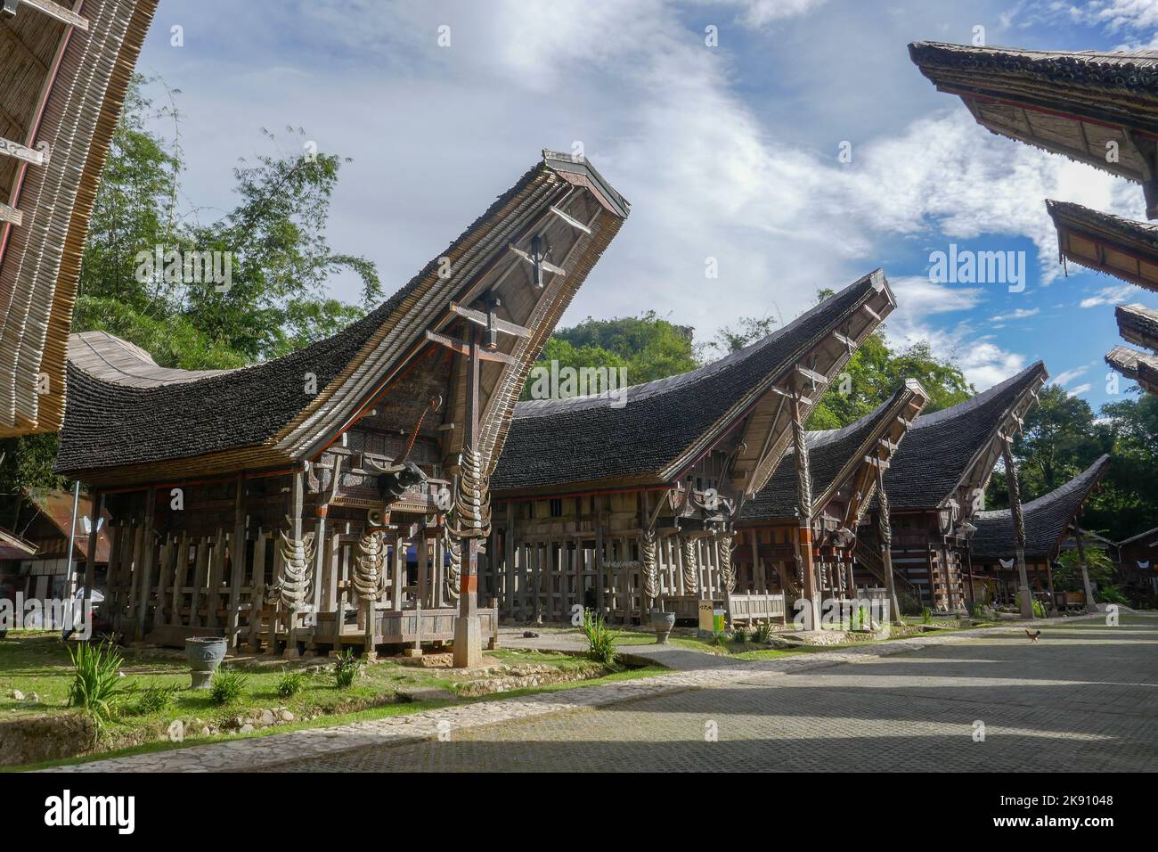Malerische Reihe von Tongkonan oder traditionellen Häusern in Kete Kesu Dorfstraße, in der Nähe Rantepao, Tana Toraja, Süd-Sulawesi, Indonesien Stockfoto