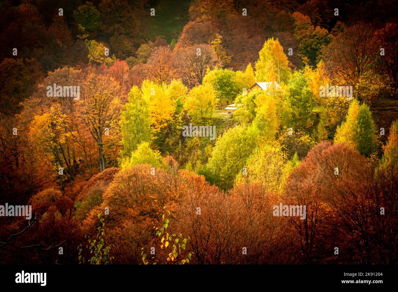 Herbst im Buila Vanturarita Nationalpark, Karpaten, Rumänien. Patrunsa Einsiedelei umgeben von lebendigen Herbstfarben des Waldes. Stockfoto