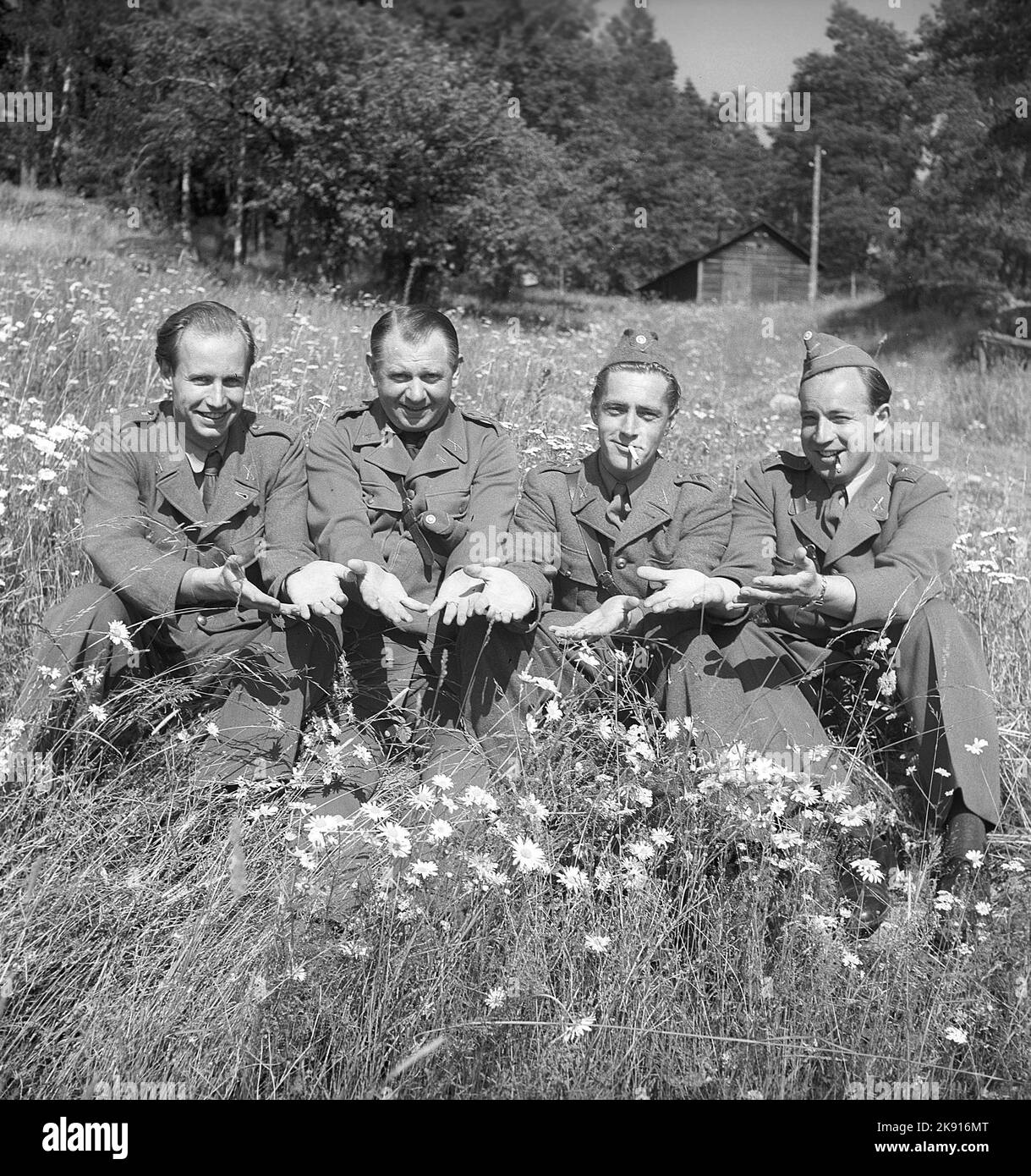 Militärangehörige im Jahr 1940s. Vier Männer in Uniform sitzen auf einem Wiese blühenden Feld und halten ihre Hände mit den Handflächen nach oben vor sich. Eine Geste, die etwas bedeutet, aber nicht weiß, was. Schweden 1940. Kristoffersson Ref. 149-6 Stockfoto