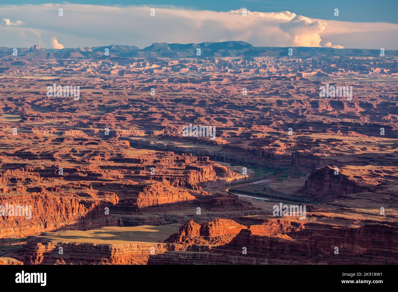 Blick vom Dead Horse Point State Park, Moab, Utah, über die zerklüfteten Schluchten von Bear's Ears NM & Canyonlands NP. Der Colorado River im Meander Canyon ist in Stockfoto