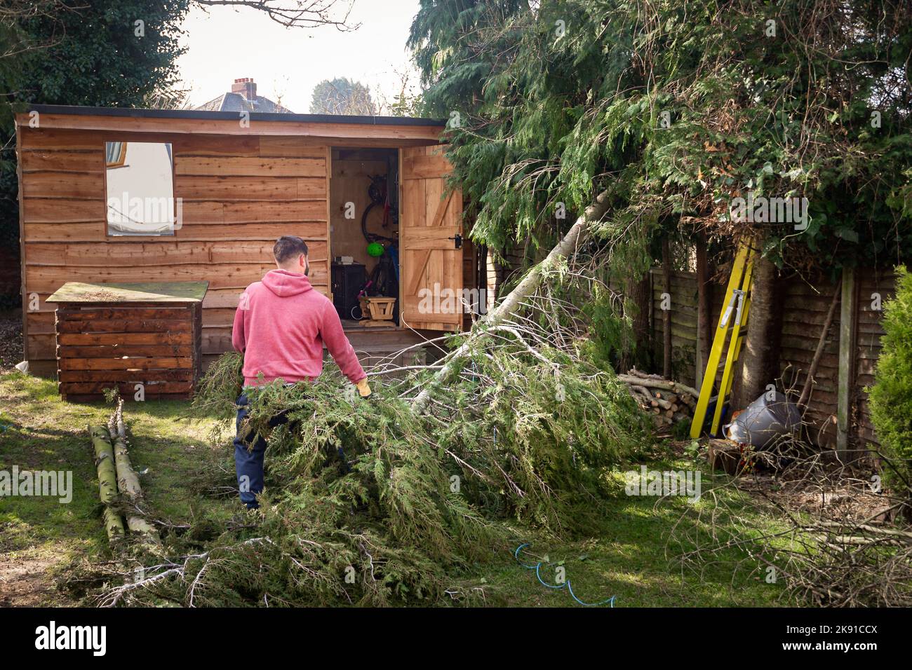 Männlicher Arbeiter, der im hinteren Garten des Hauses umgestürzte Baumstämme und Äste von hohen Bäumen abräumte. Stockfoto