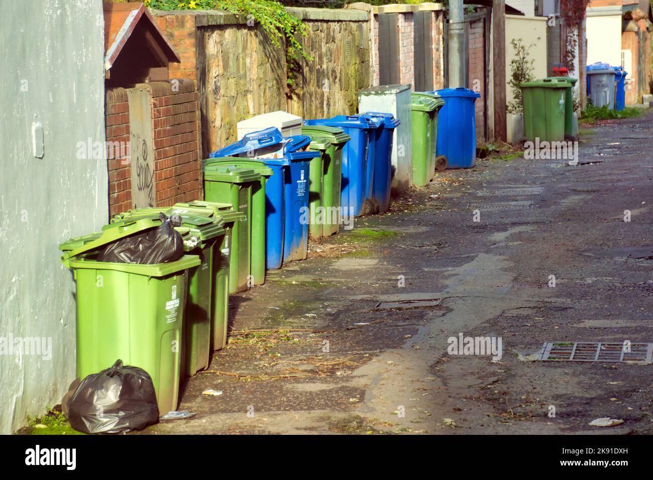 Reihe von Mülltonnen in der Gasse Stockfoto