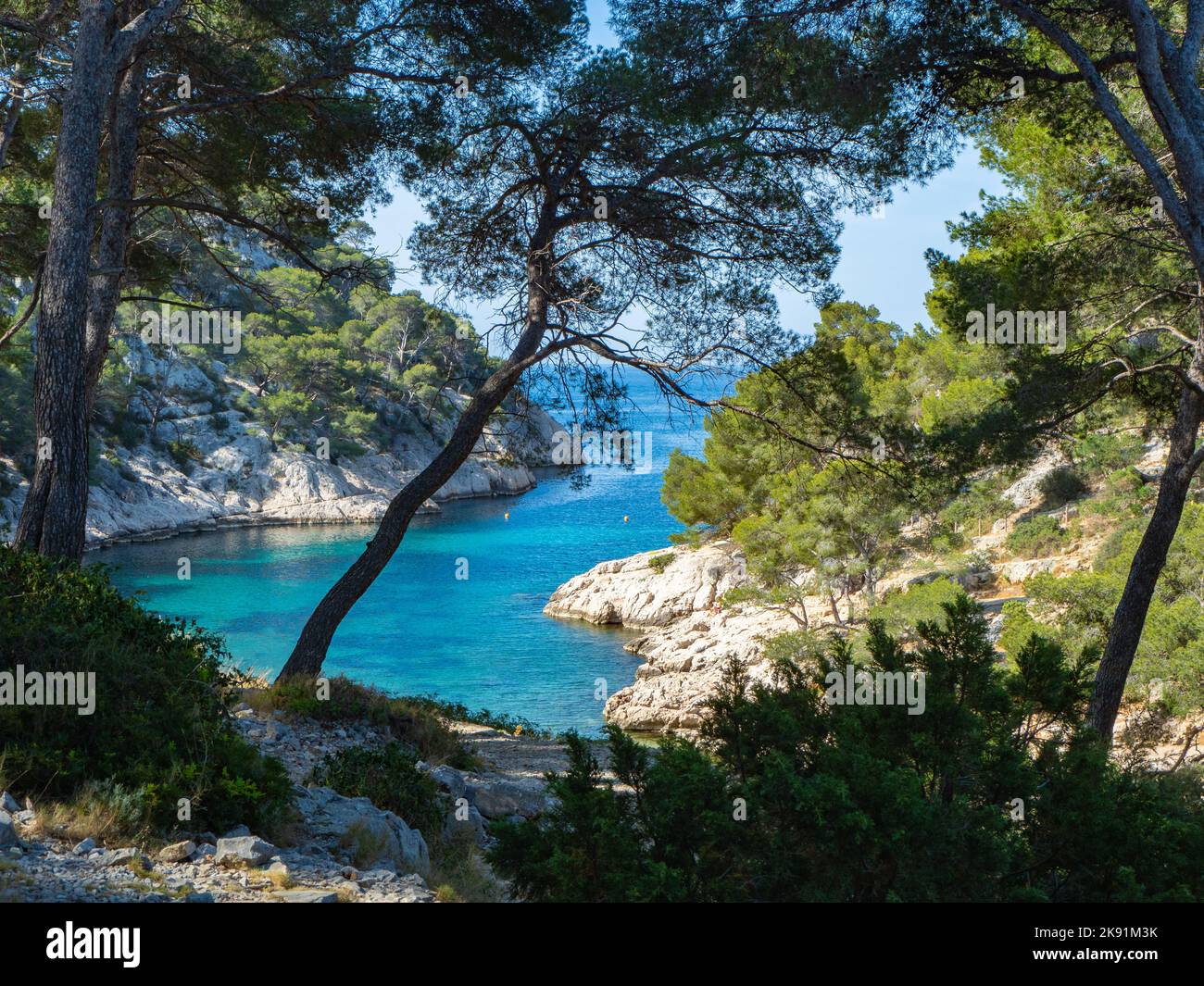 Calanques, Frankreich - Mai 19. 2022: Pinien vor einer romantischen felsigen Bucht Stockfoto
