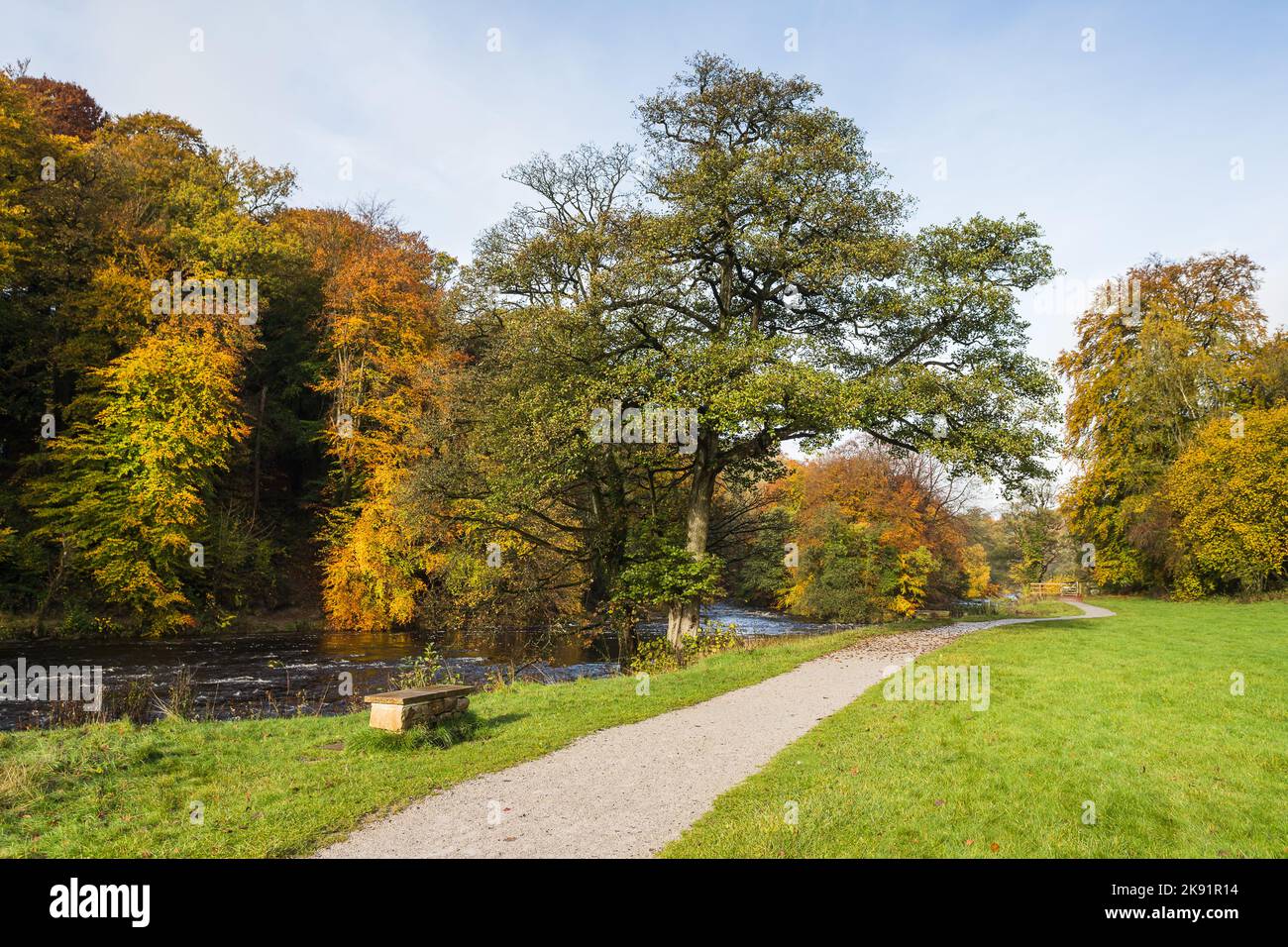 Ein gewundener Pfad entlang des Flusses Wharfe im Herbst 2022 in den Yorkshire Dales. Stockfoto