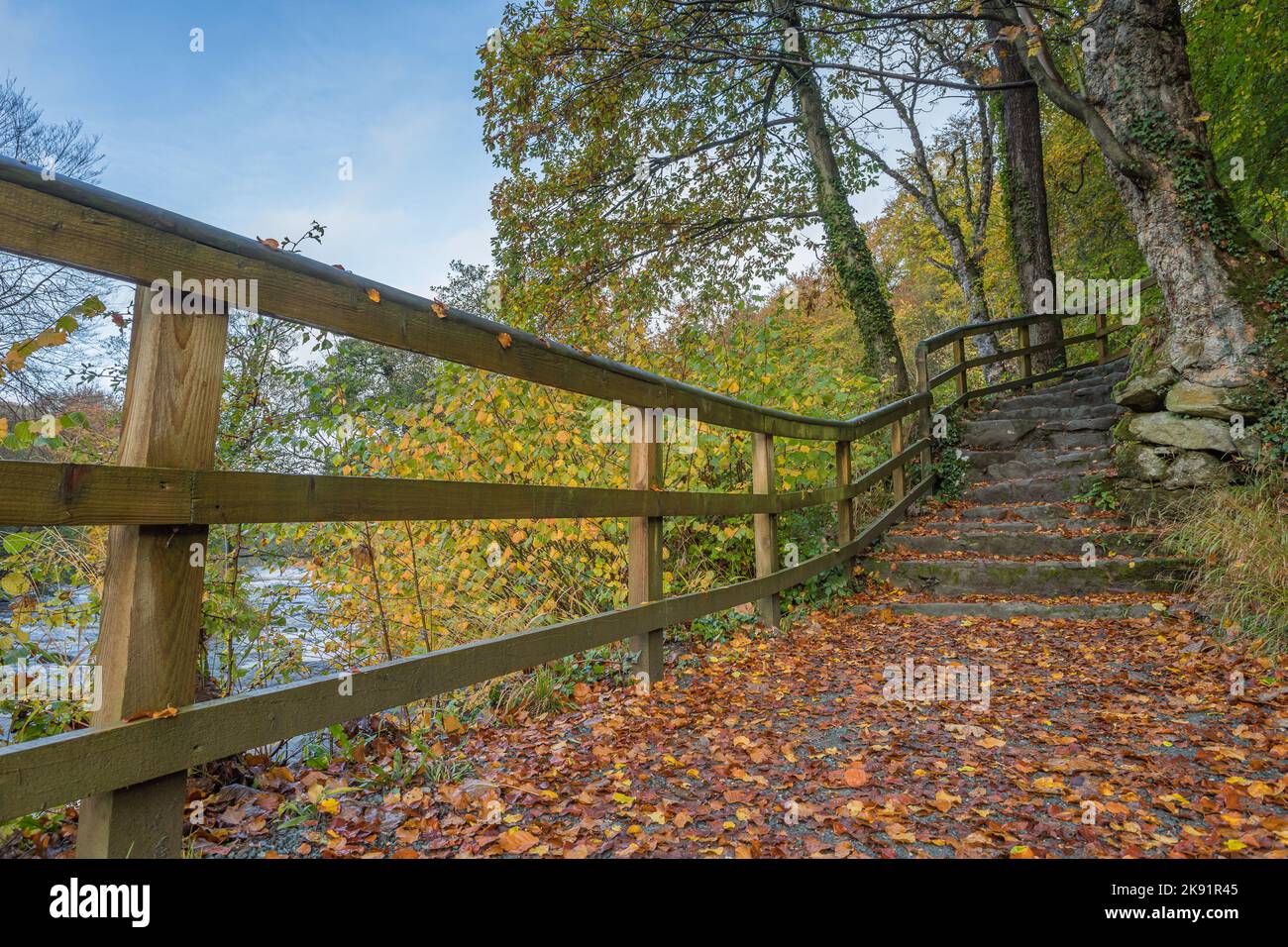 Stufen, die mit goldenen Blättern bedeckt sind, führen zum Strid Wood im Wharfedale Valley der Yorkshire Dales. Stockfoto