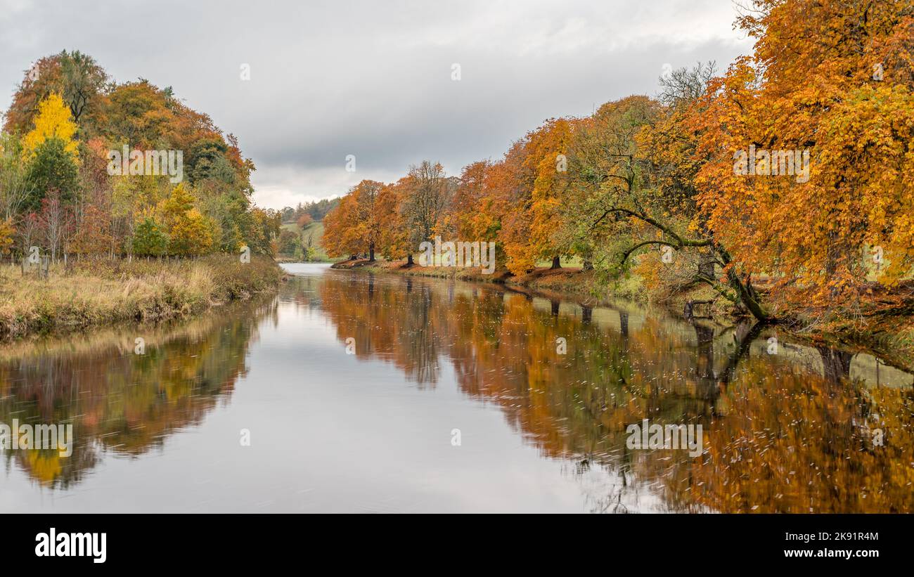 Herbstliche Farben von Orange, Braun, Gelb und Farbe spiegeln sich im Oktober 2022 im River Wharfe wider. Stockfoto