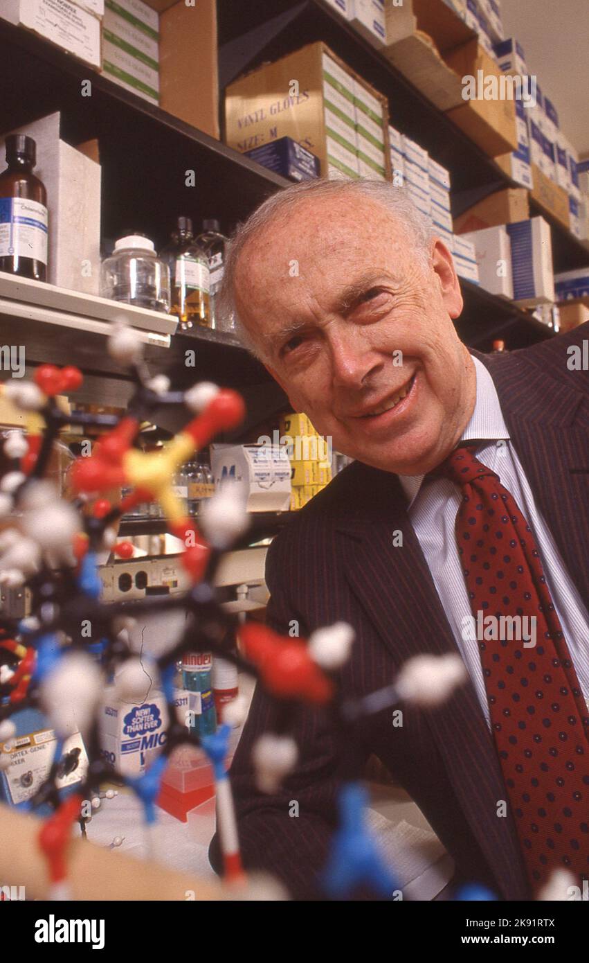 James D. Watson Watson sah, dass die wesentlichen DNA-Komponenten – vier organische Basen – in bestimmten Paaren miteinander verknüpft werden müssen. Diese Entdeckung war der Schlüsselfaktor, der es Watson und Crick ermöglichte, ein molekulares Modell für DNA zu formulieren – eine doppelte Helix, die Photo by Dennis Brack. bb85 Stockfoto