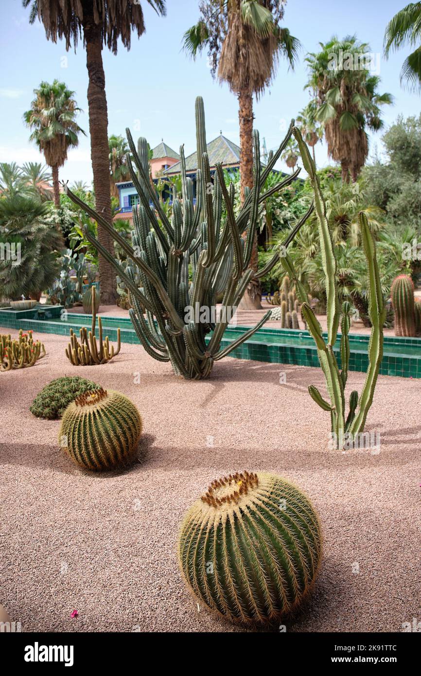 Majorelle Garden Yve Saint Laurent Pierre Berge Bergé Marrakesch Marokko Stockfoto