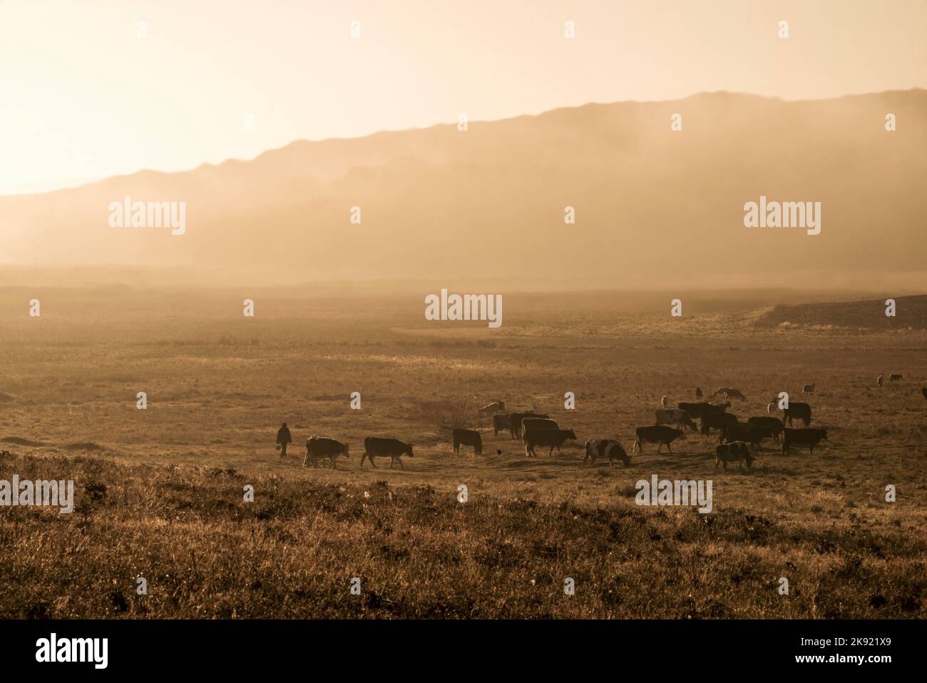 Geheimnisvoller Nebel am Hang im Herbst Nebel, Bäume sind nass, feuchter Nebel des Waldes schöne Landschaft Olanesti Moldawien Panoramablick auf das ländliche Dorf früh m Stockfoto