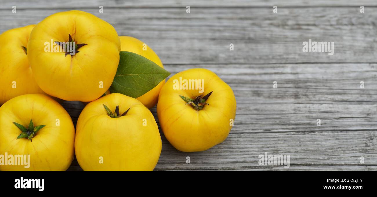 Reife gelbe Quitten-Früchte auf Holzhintergrund mit Kopierraum, Draufsicht. Das Konzept der organischen Gartenarbeit. Stockfoto