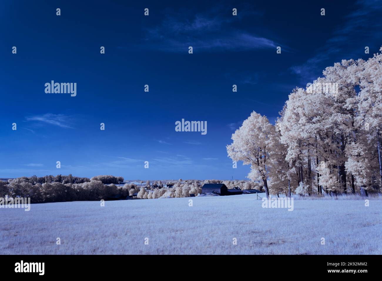 Infrarot-Landschaft mit 720 nm, strahlend weißer Vegetation, surrealen Wäldern und sanften Hügeln in Falschfarbenfotografie, traumhafte Naturszene Stockfoto