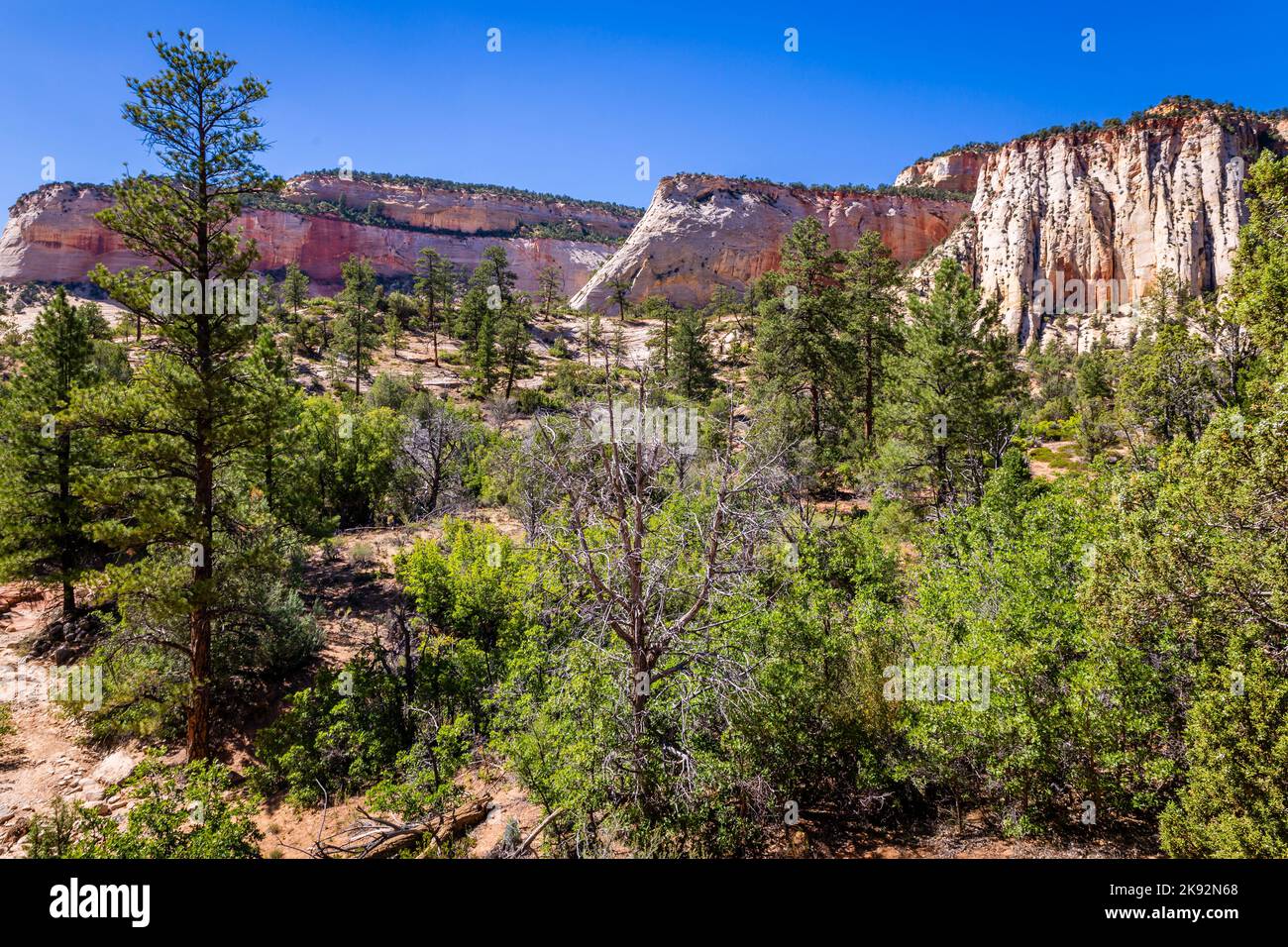 Zion National Park dramatische Landschaft, Utah, USA Stockfoto