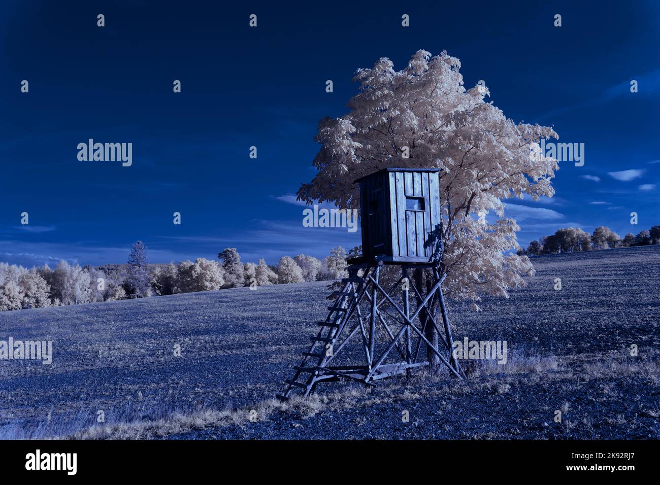 Infrarot-Landschaft mit 720 nm, strahlend weißer Vegetation, surrealen Wäldern und sanften Hügeln in Falschfarbenfotografie, traumhafte Naturszene Stockfoto