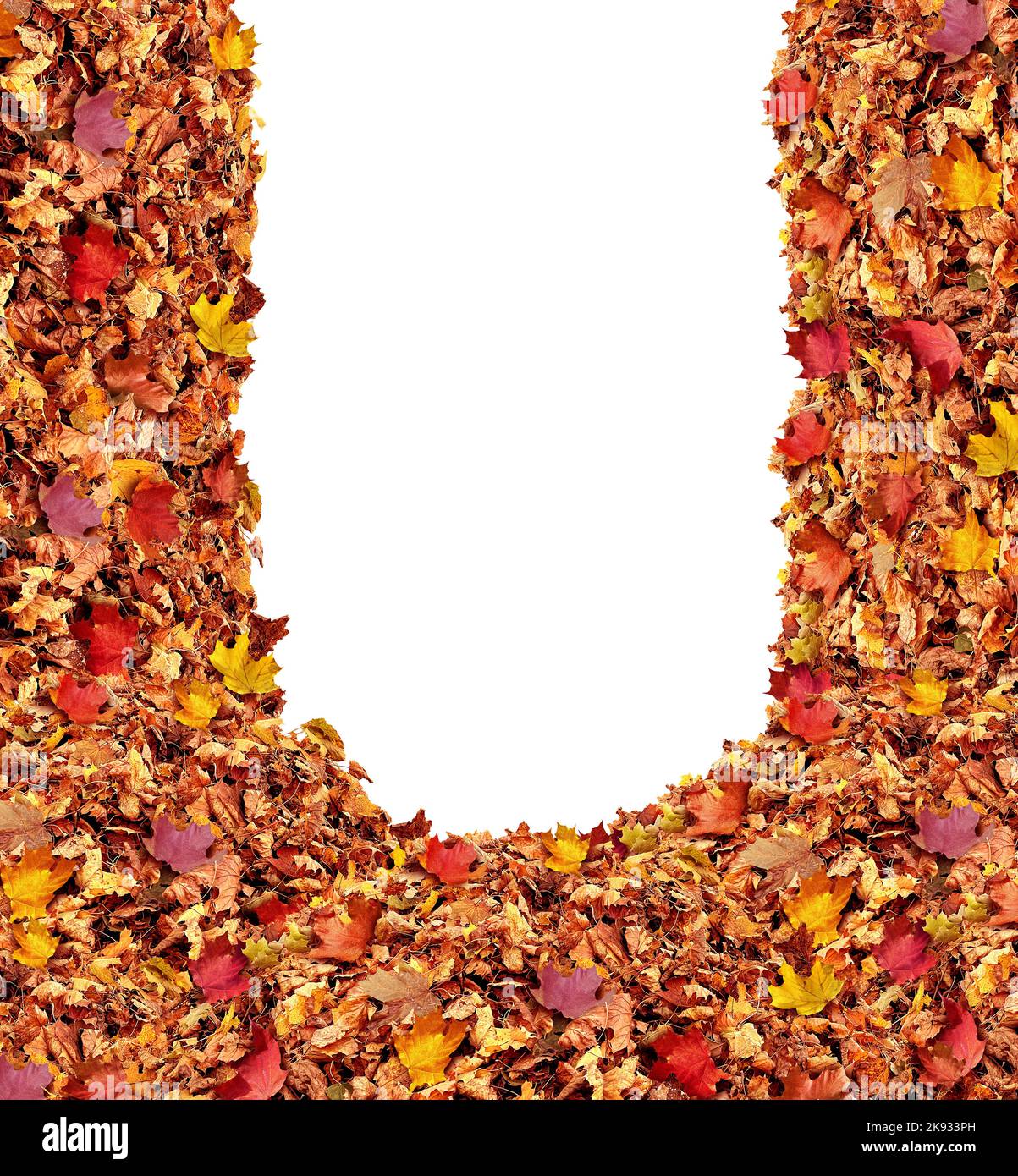 Haufen Herbstblätter als Herbstsaison Laubhügel als saisonales Natursymbol für September Oktober und Novmber blank Rahmen mit einem weißen isolierten. Stockfoto