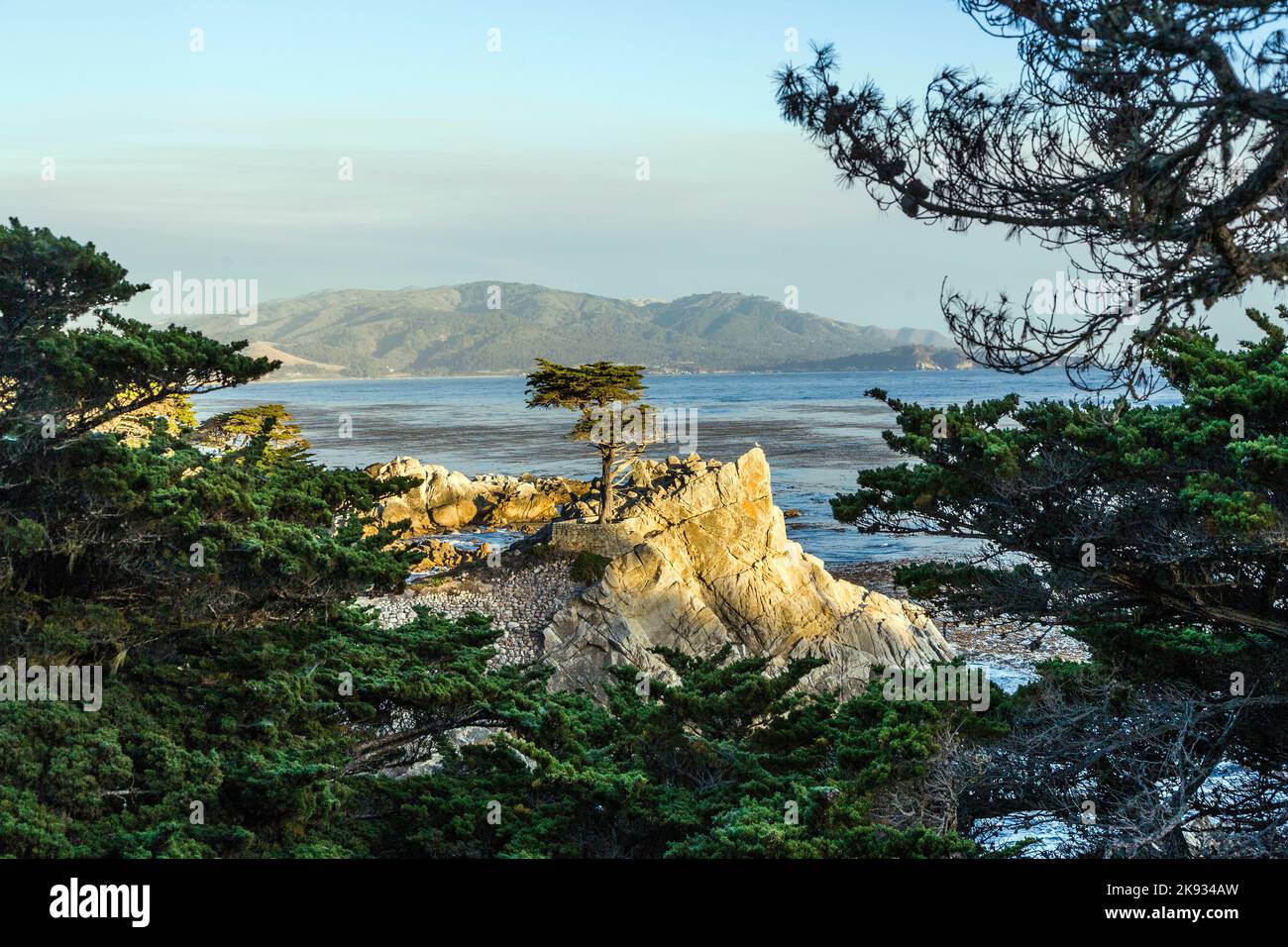 MONTEREY, KALIFORNIEN - 26. JUL 2008: Blick auf den einöltigen Zypressenbaum entlang des berühmten 17 Mile Drive in Monterey. Quellen behaupten, es sei eines der am meisten fotografierten t Stockfoto