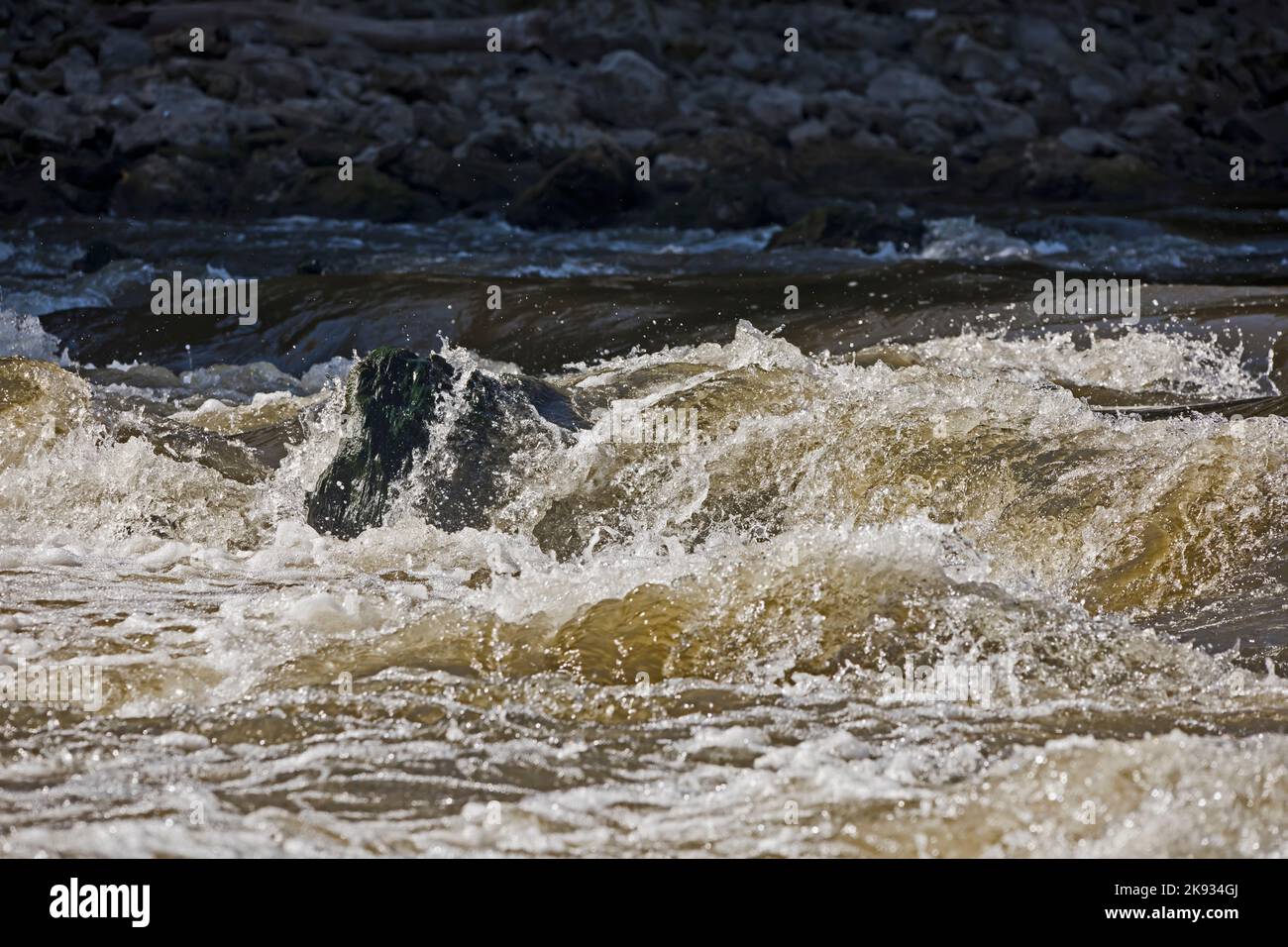 Rauschendes Wasser, das an einem Herbsttag in Iowa über einen großen Felsen im Cedar River fließt. Stockfoto