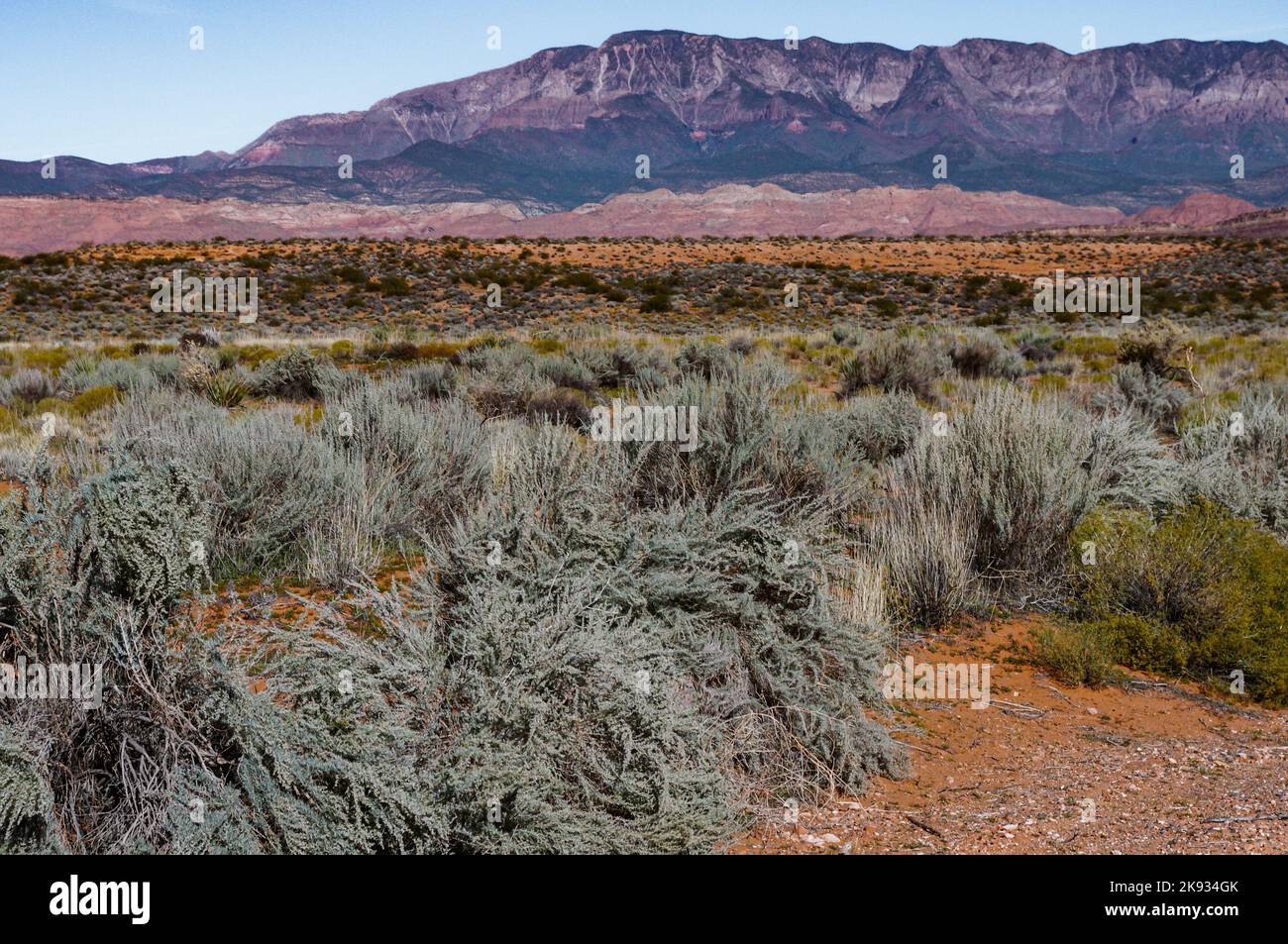 Zion National Park in Utah Stockfoto