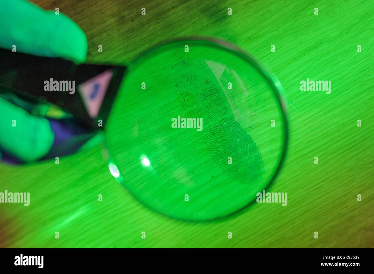 CSI (Crime Scene Investigation) Techniken und Verfahren Ausbildung an der Polizeiakademie, Fingerabdruck durch Mikroskop und Lupe gesehen Stockfoto