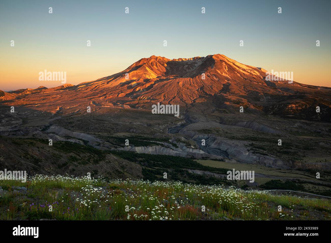 WA22538-00...WASHINGTON - Mount St. Helens bei Sonnenuntergang vom Boundary Trail am Johnston Ridge im Mount St. Helens National Volcanic Monument. Stockfoto