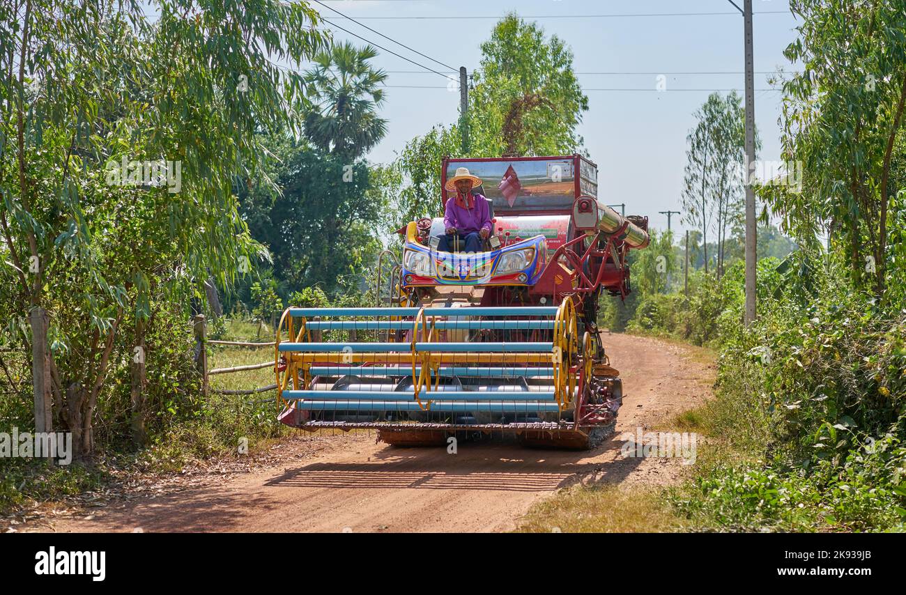 Ein Mann sitzt auf einer Reiserntemaschine auf einer kleinen Landstraße in Thailand. Stockfoto