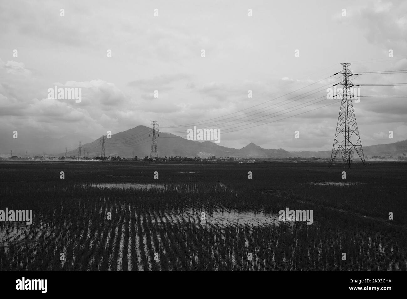 Schwarzweißfoto, Schwarzweißfoto eines Stromversorgungsturms, der landwirtschaftliche Flächen in Cicalengka - Indonesien teilt Stockfoto