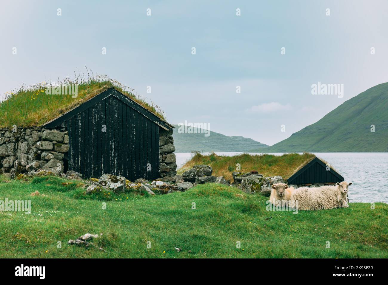 Färöer Inseln, Häuser mit Gras auf dem Dach Stockfoto