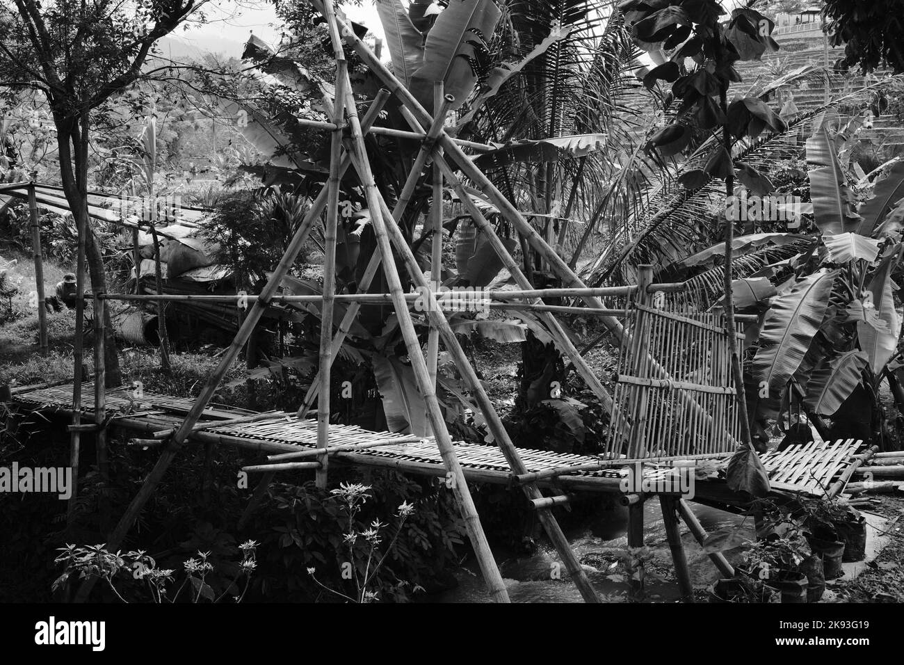 Schwarzweißfoto, Schwarzweißfoto der Bambusbrücke in Cicalengka - Indonesien Stockfoto