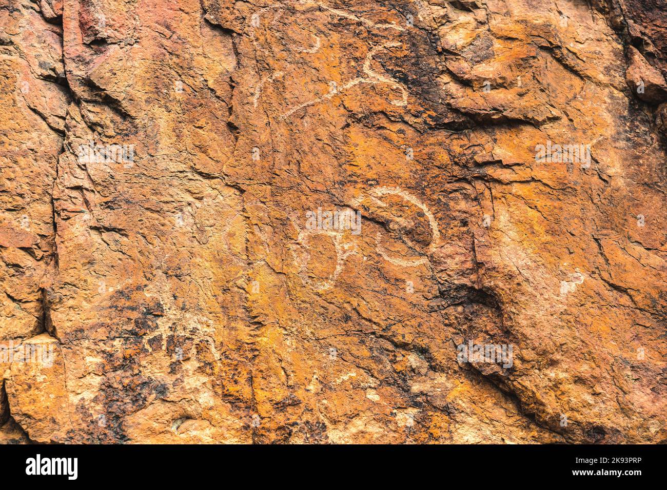Historische Steinschnitzereien von Tieren. Petroglyphen auf Felsen aus nächster Nähe Stockfoto