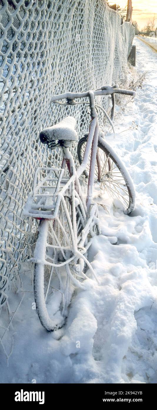 Vertikales Panorama eines schneebedeckten Fahrrads, das sich an einem Zaun an der Seite einer Straße auflehnt Stockfoto