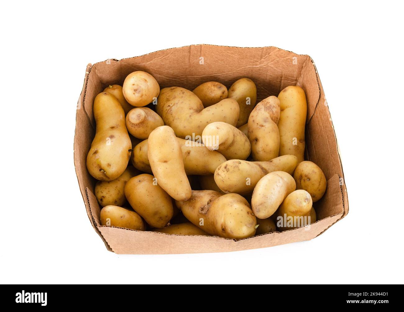 Ratte Kartoffel vor weißem Hintergrund Stockfoto