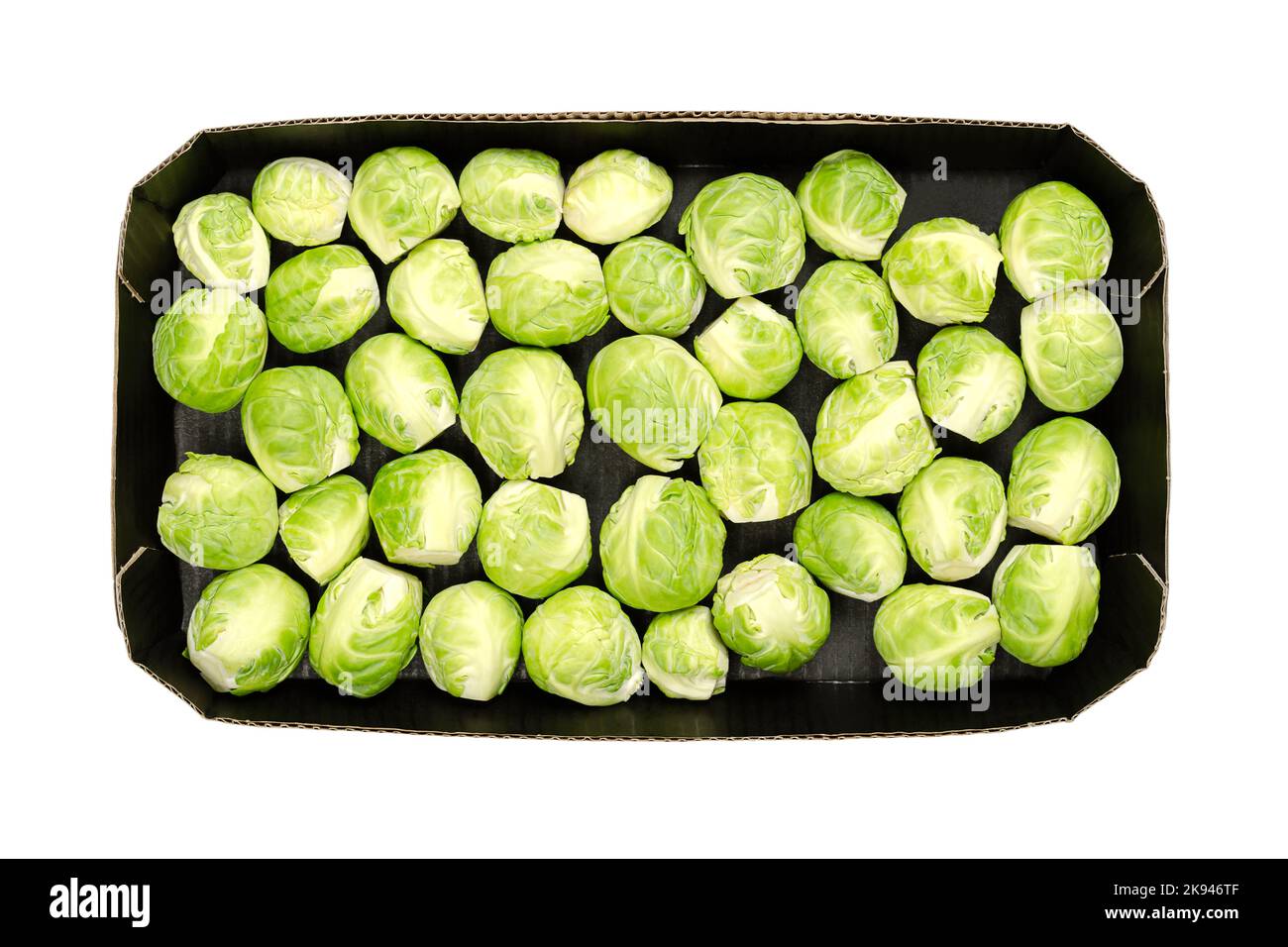 Frische Rosenkohl, in einem schwarzen Pappschnäbel, von oben, isoliert über Weiß. Grünes Blattgemüse, das wie kleine Kohlköpfe erscheint. Stockfoto