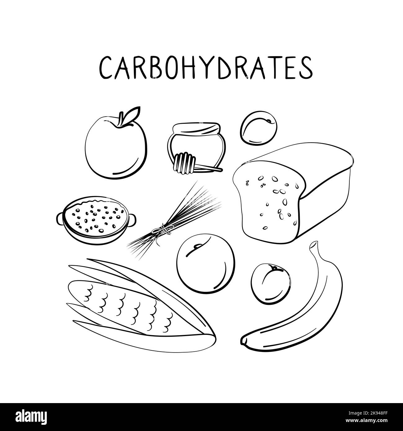 Kohlenhydrathaltige Lebensmittel. Gruppen von gesunden Lebensmitteln mit Vitaminen und Mineralstoffen. Set aus Obst, Gemüse, Fleisch, Fisch und Milchprodukten. Stock Vektor